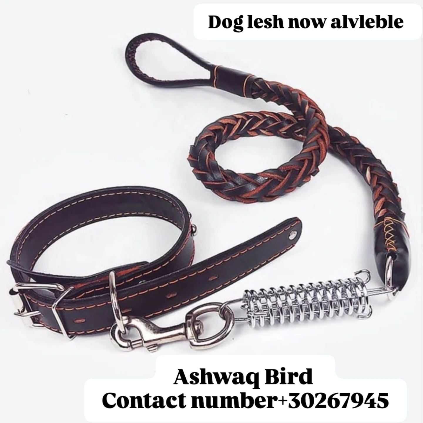 Dog lesh brand new - Image 1