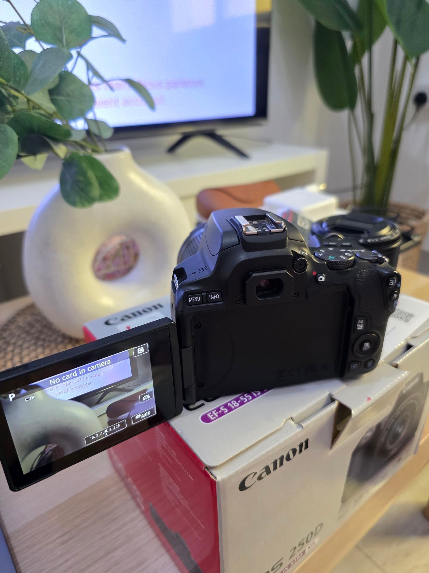 Canon Eos 250D EF-S 18-55 IS STM + Canon 50mm - Image 2