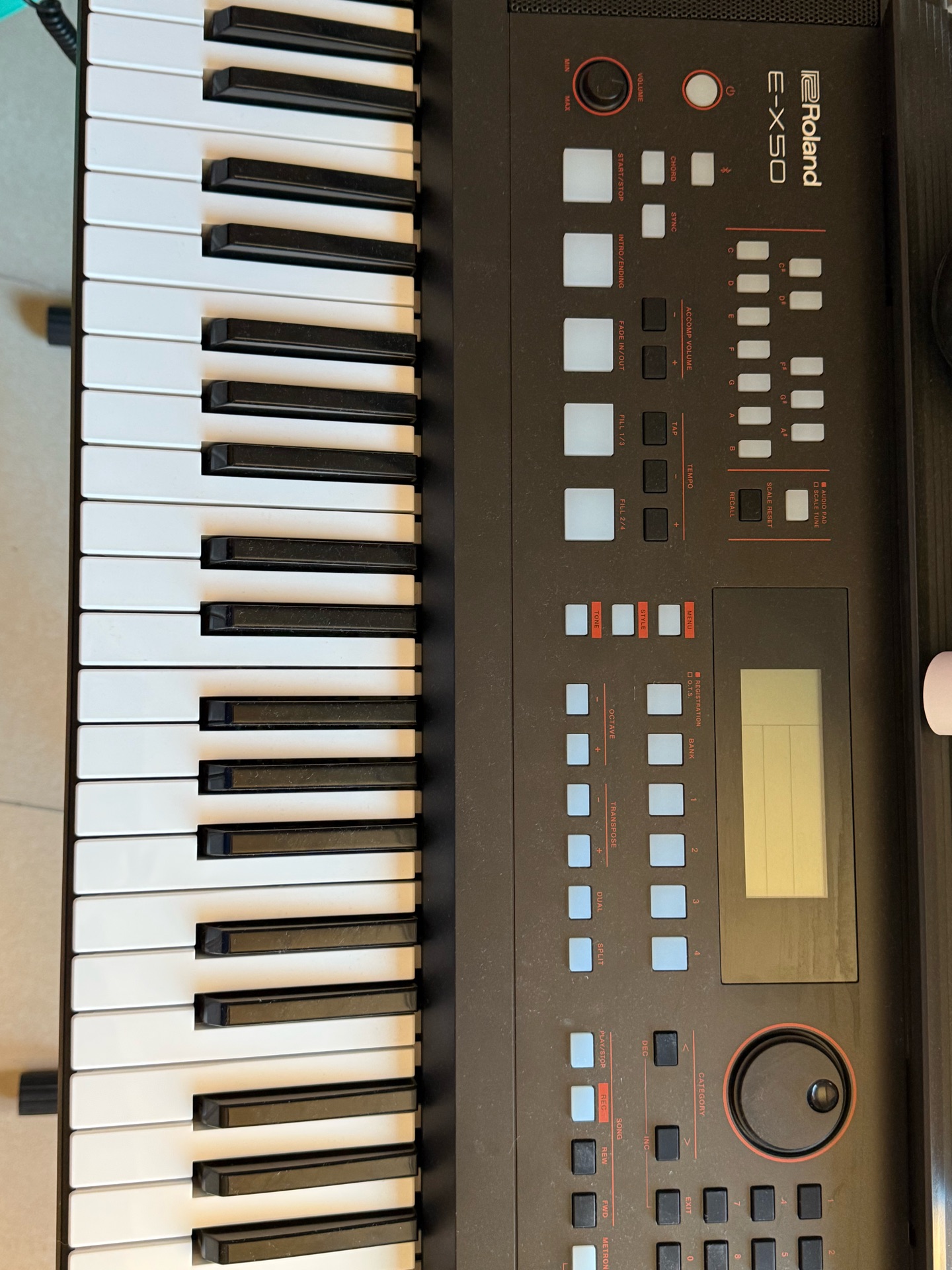 Roland E-X50 61-key Arranger Keyboard with Arabic Tone and Scale - Image 4