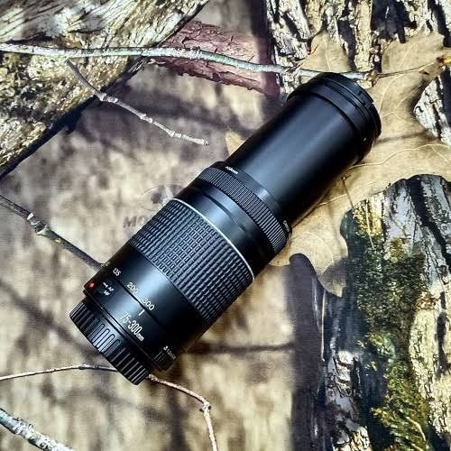 Canon 75-300mm zoom lens full fresh - Image 1