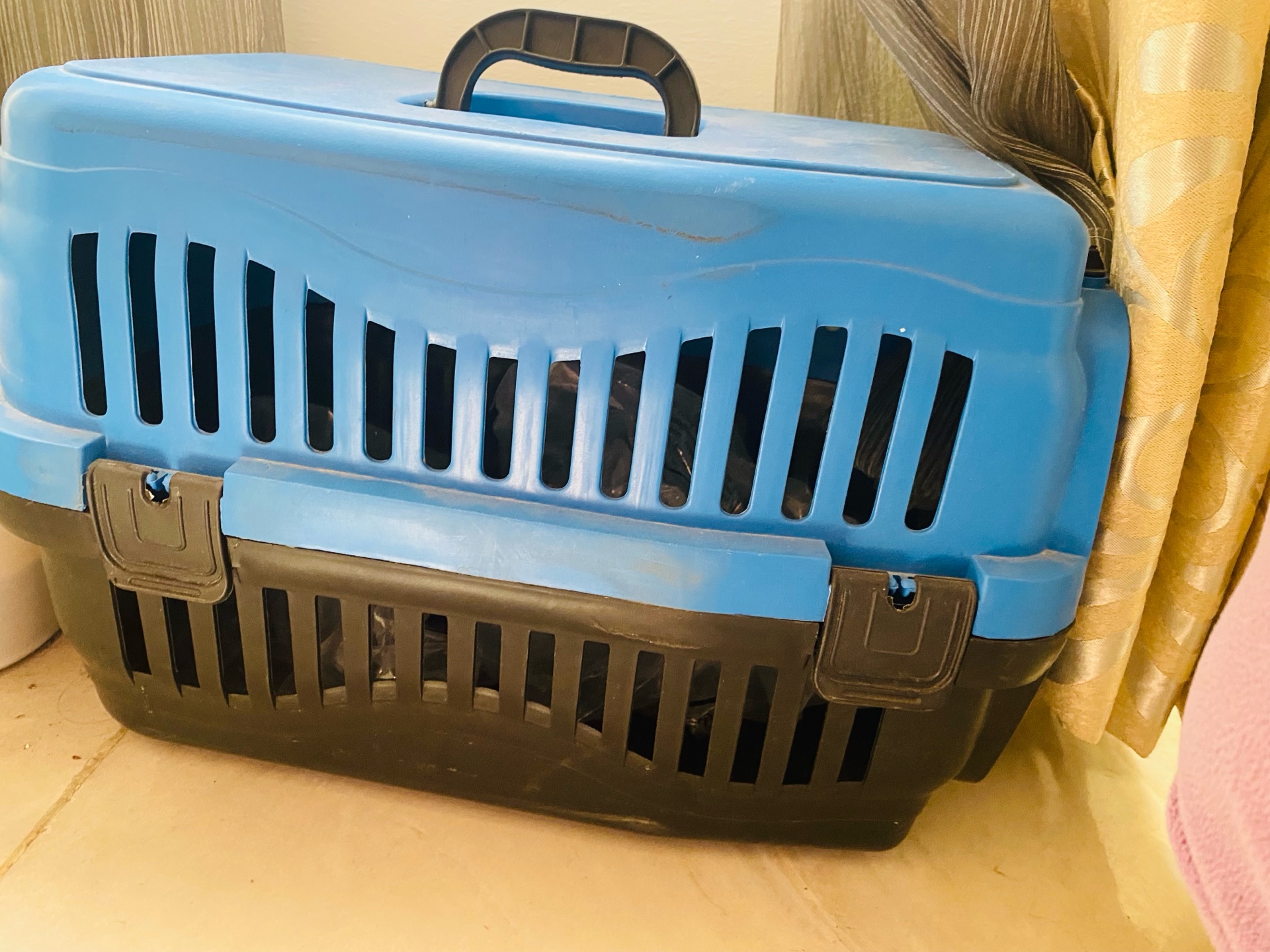 Kitten travel carrier - Image 2
