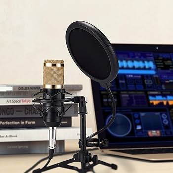 Zingyou mic set for sale  - Image 4