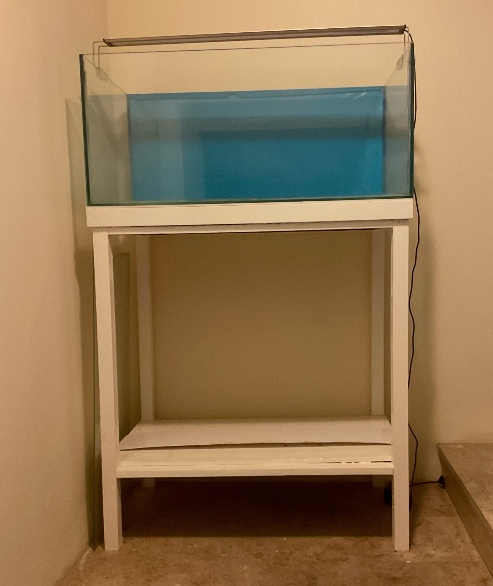 Fish Aquarium with stand for Sale  - Image 7