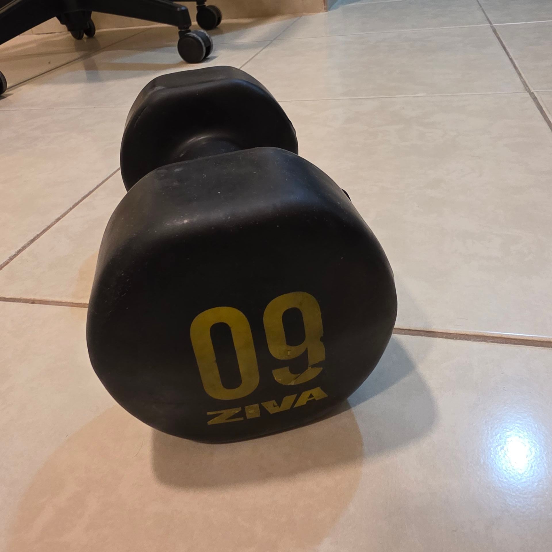 Ziva dumbbell 9 kg - Image 1