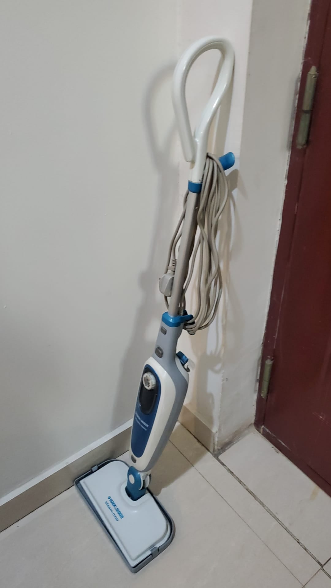 Steam Mop - Image 1