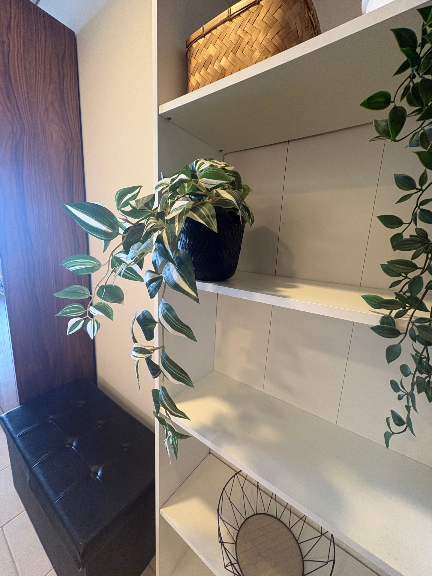IKEA Bookcase for Sale - Image 2