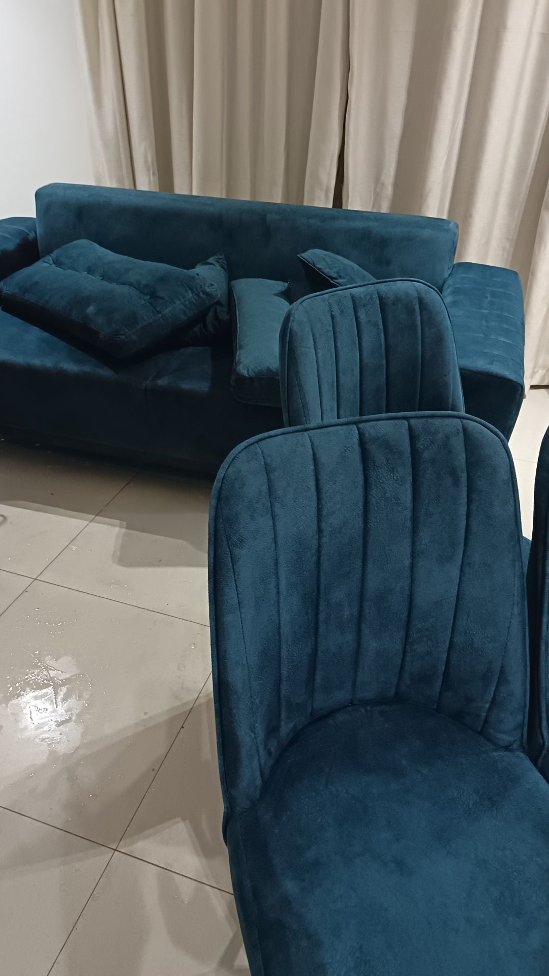 Pest Control Services in Qatar | Cockroaches, Bed Bugs, Ants & Rodents - Maintenance Services