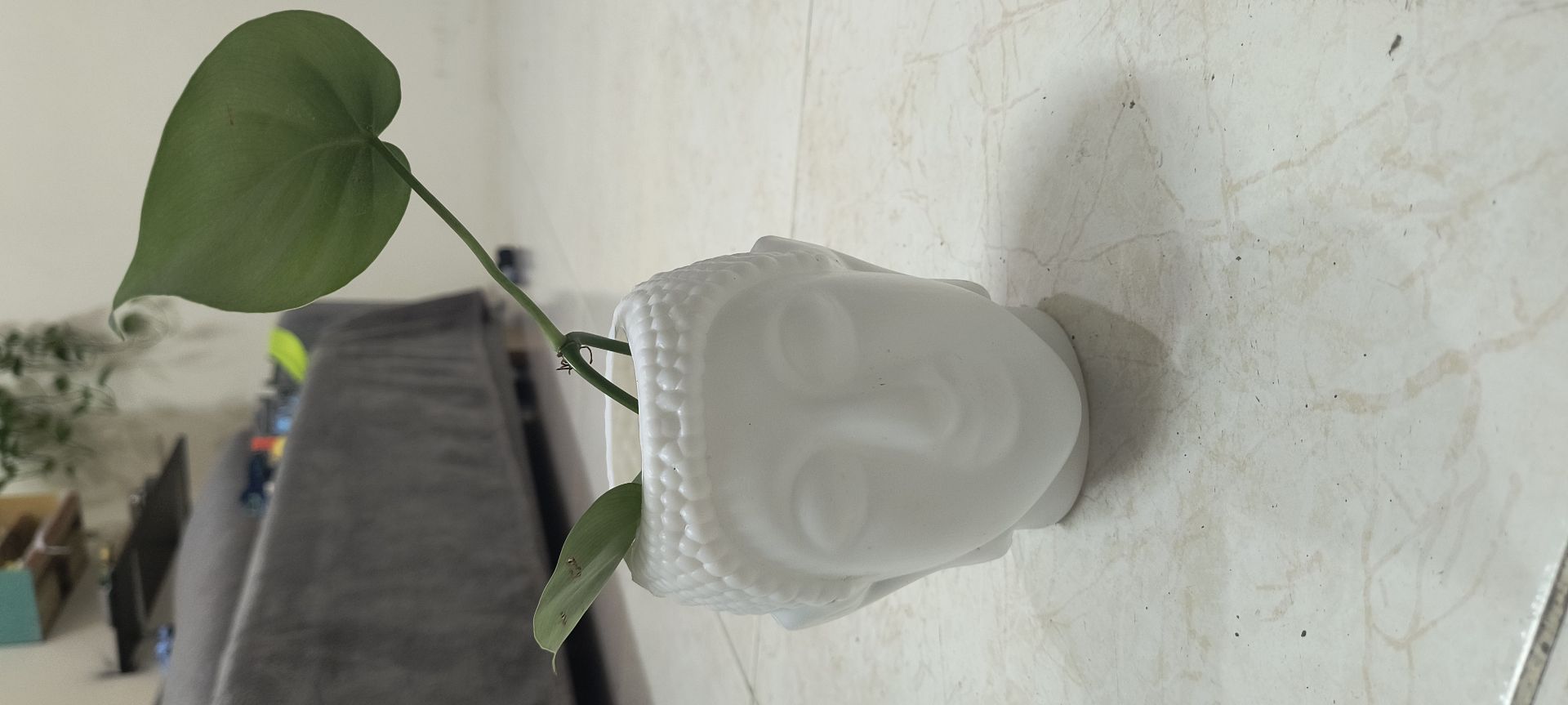 Plants and craft - Image 2