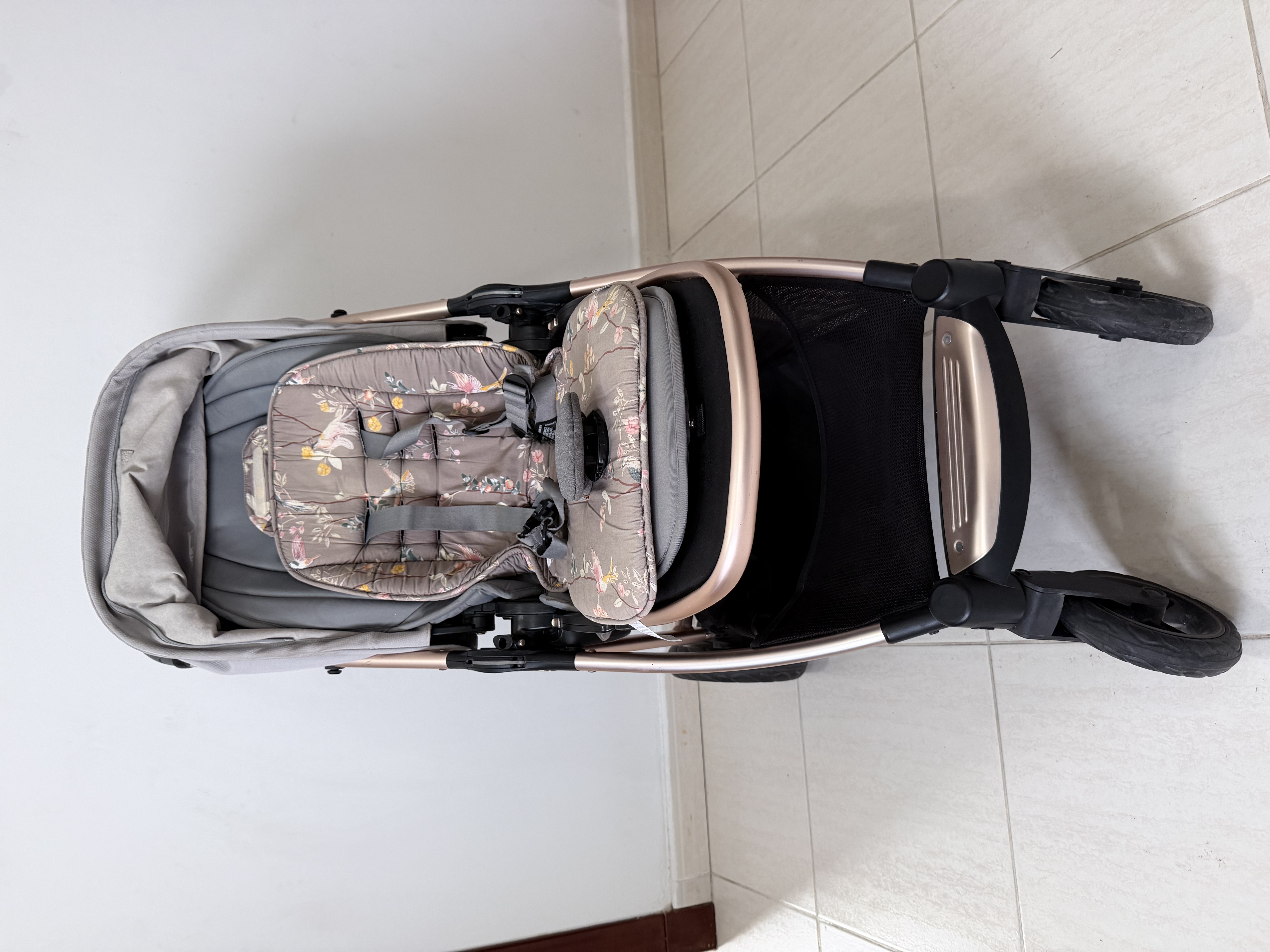 Stroller Papas and mamas - Image 1