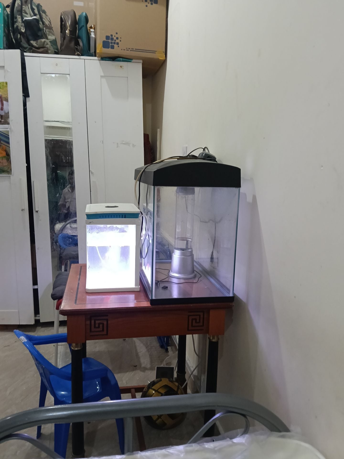 Fish tank  - Image 4