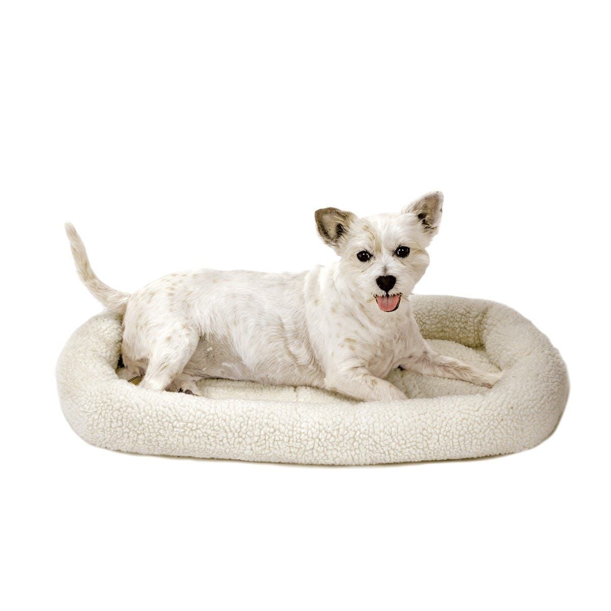  🐶🐱 DOG & CAT SLEEPING BED AVAILABLE  Smollpric-60qr - Image 4