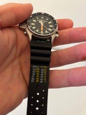 Citizen Dive Watch - Image 7