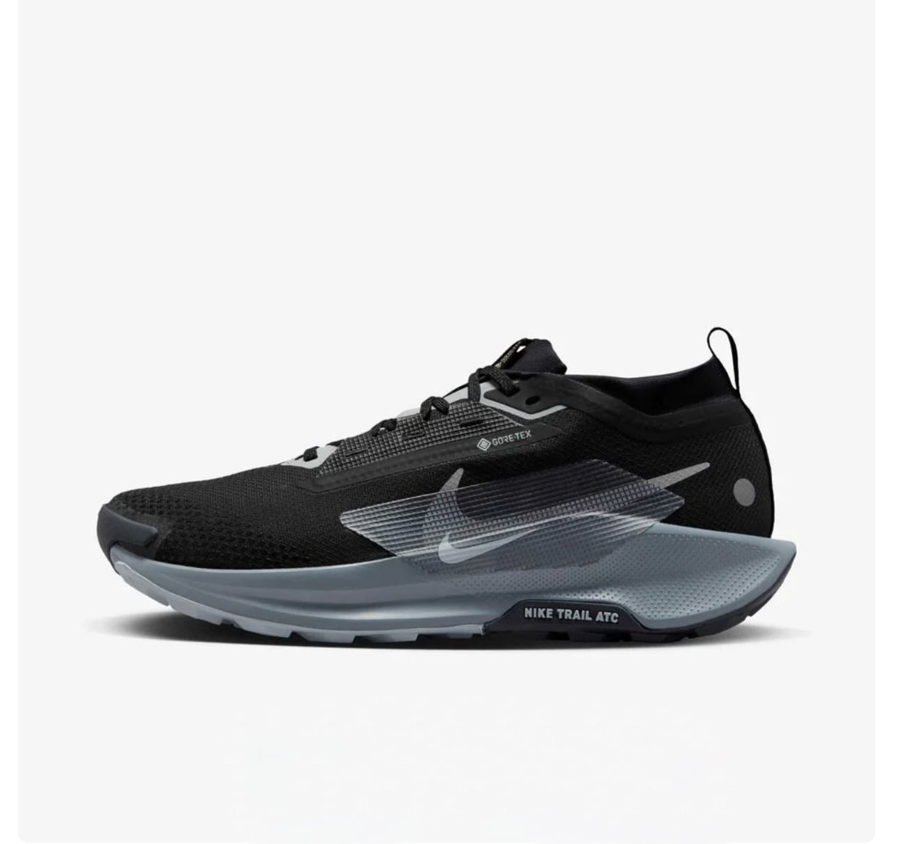 Nike Pegasus Trail 5 GORE-TEX - Image 1