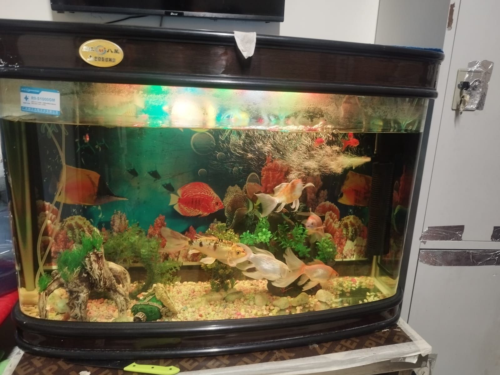 Aquarium with all items  - Image 5