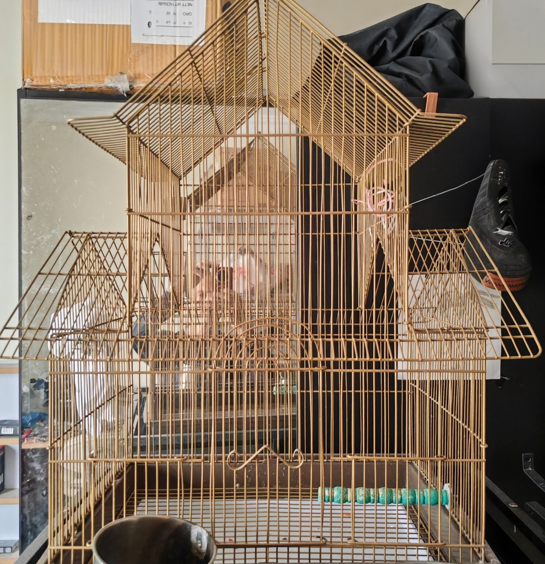أقفاص الطيور . Bird cages - Image 3