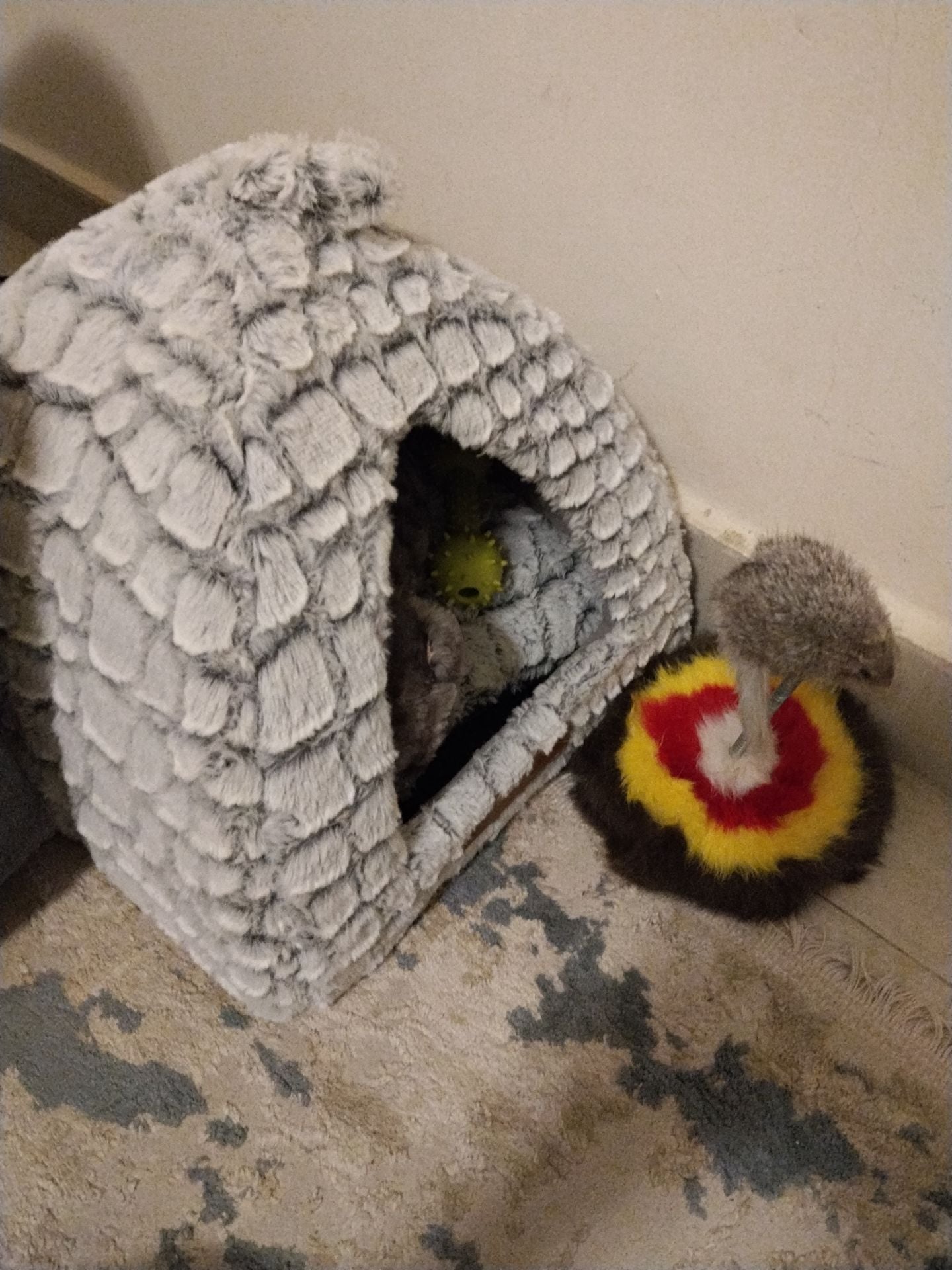 Cat house + kitten carrier and toy - Image 4