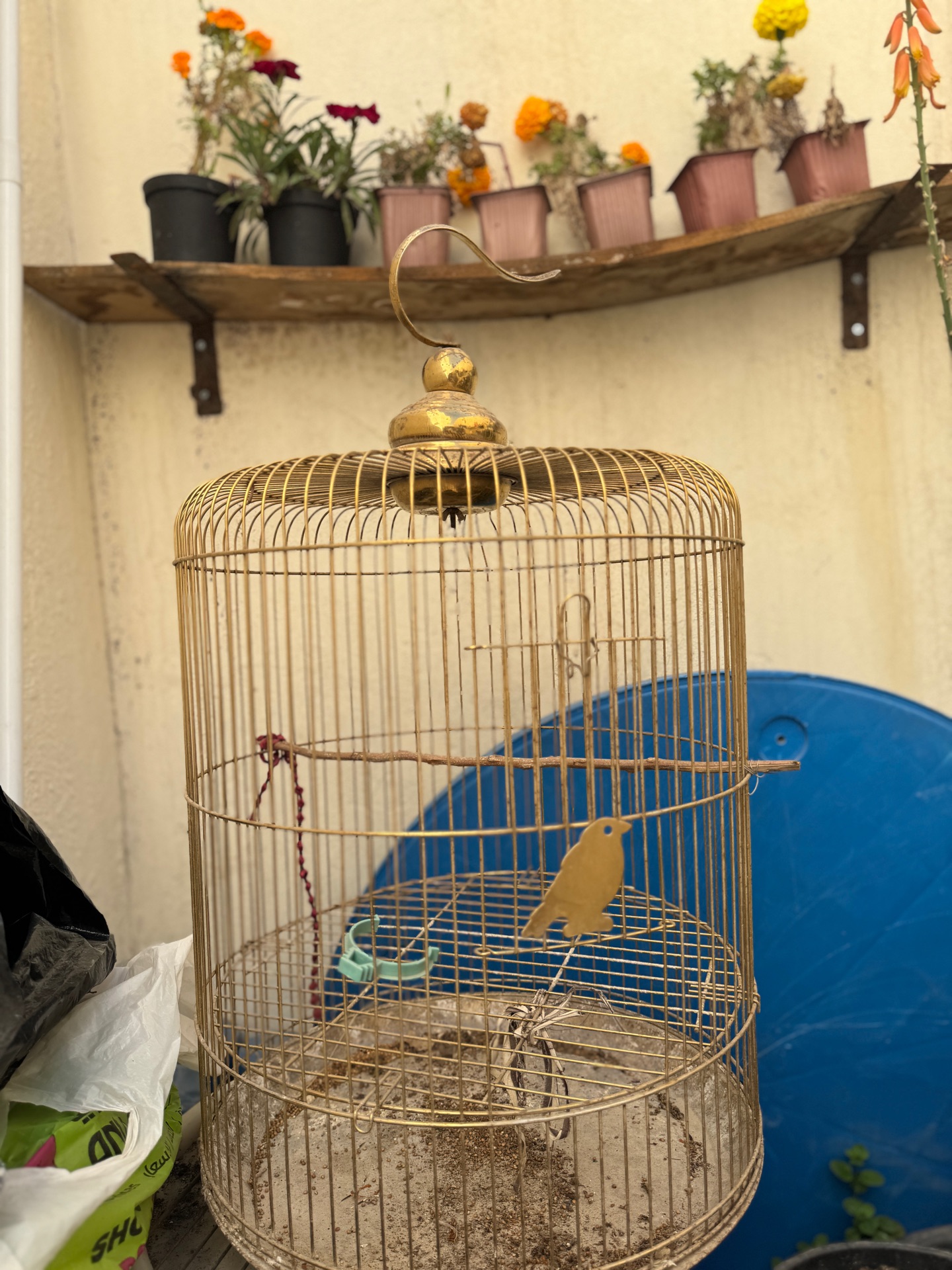 Birds cage  - Image 3