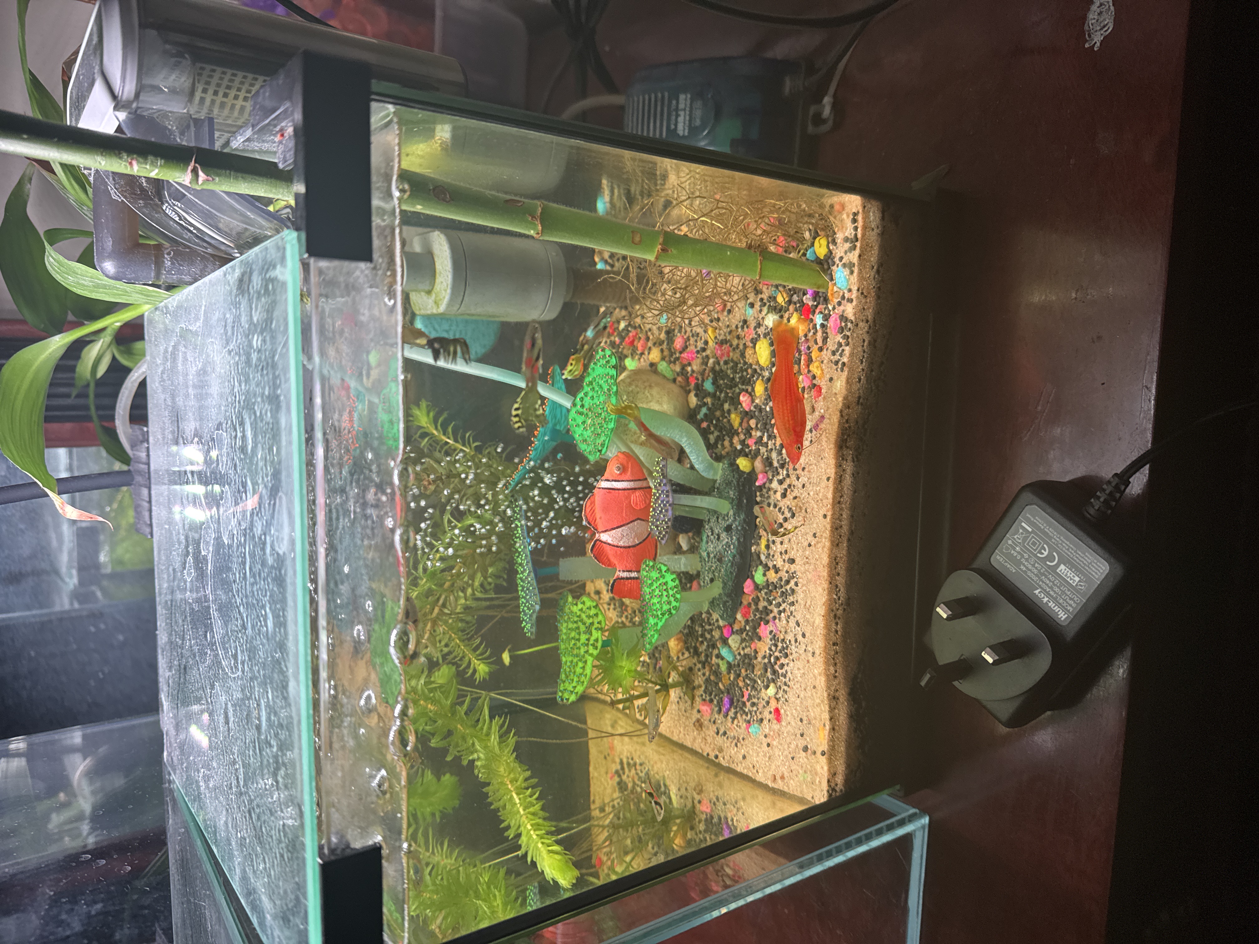 Clear glass fish tank - Image 9