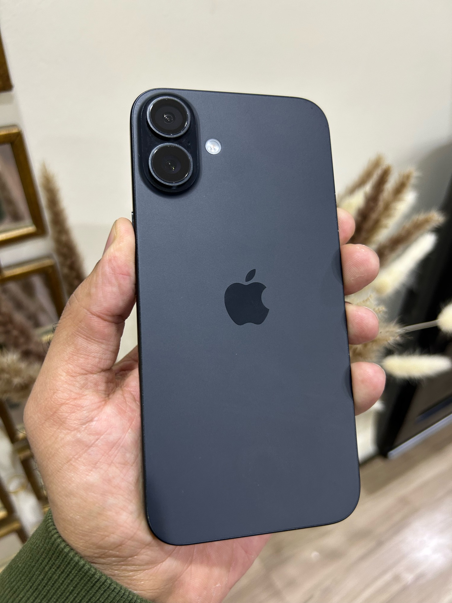 iPhone 16 Plus 256 GB 95% - Image 1
