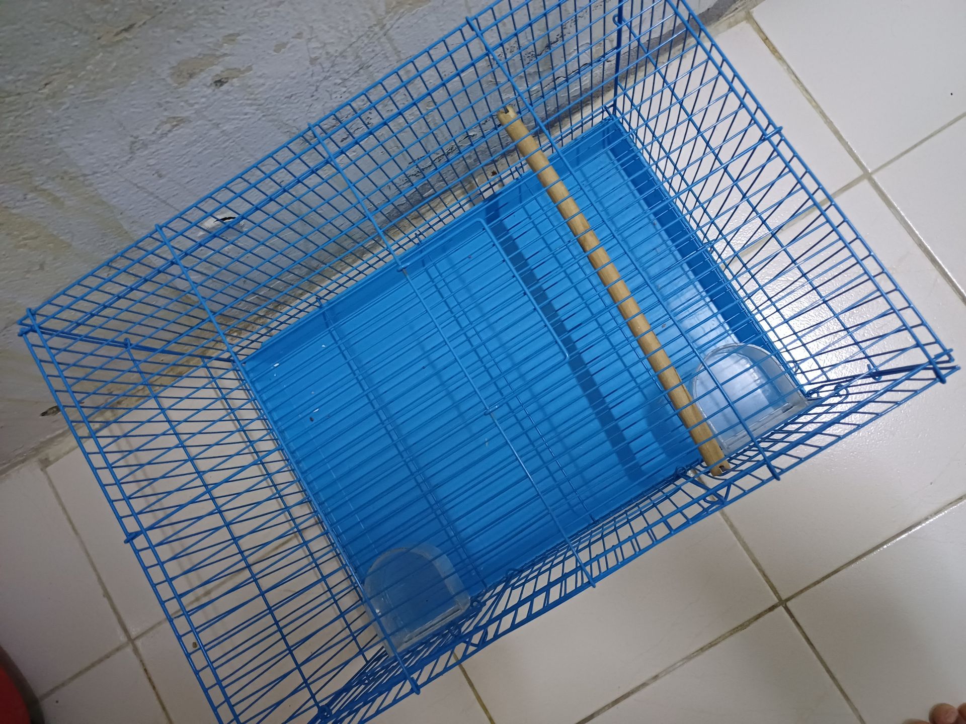 Birds cage ... tow cage avilable.. - Image 4