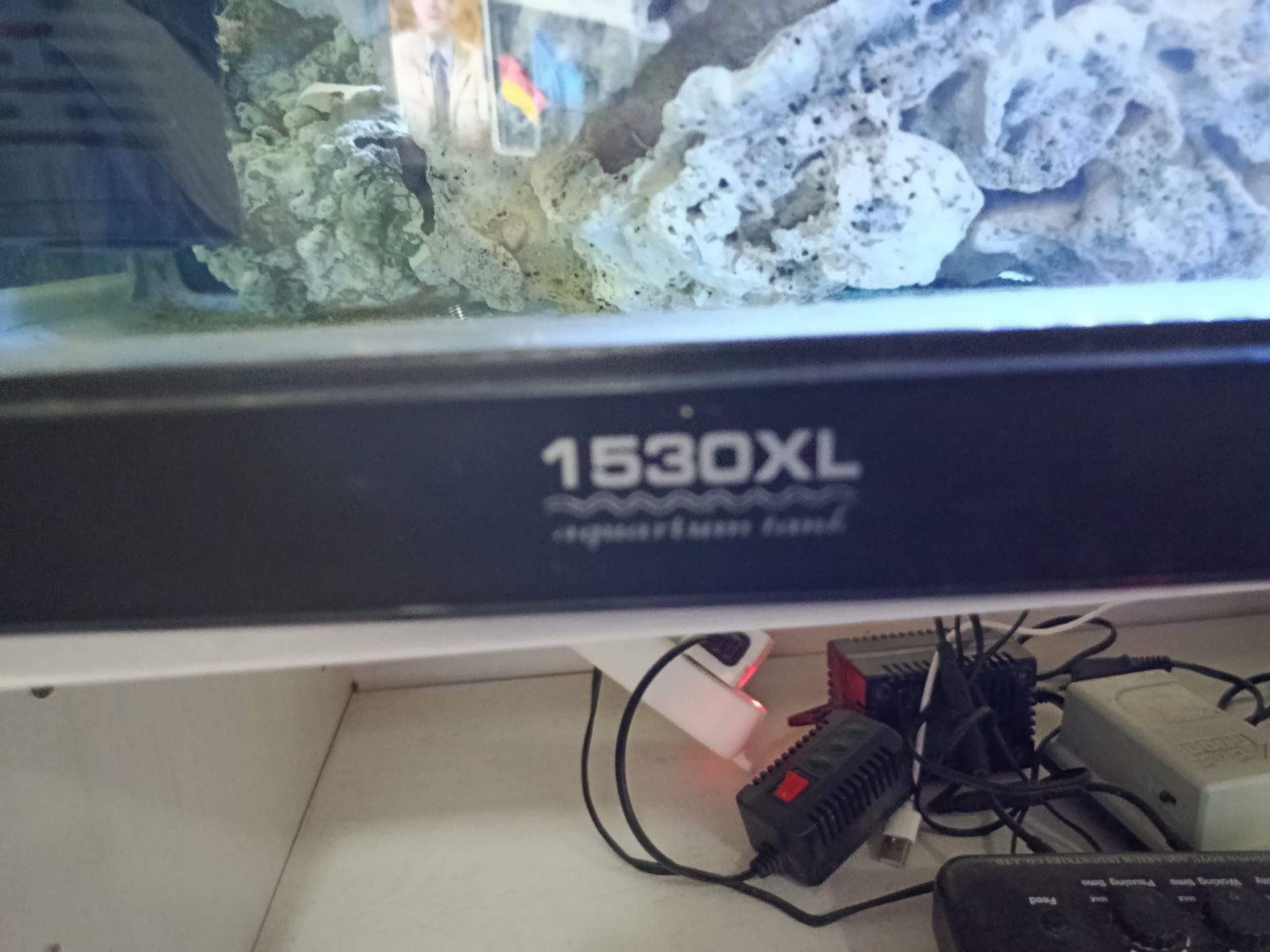 Aquarium for sale - Image 1