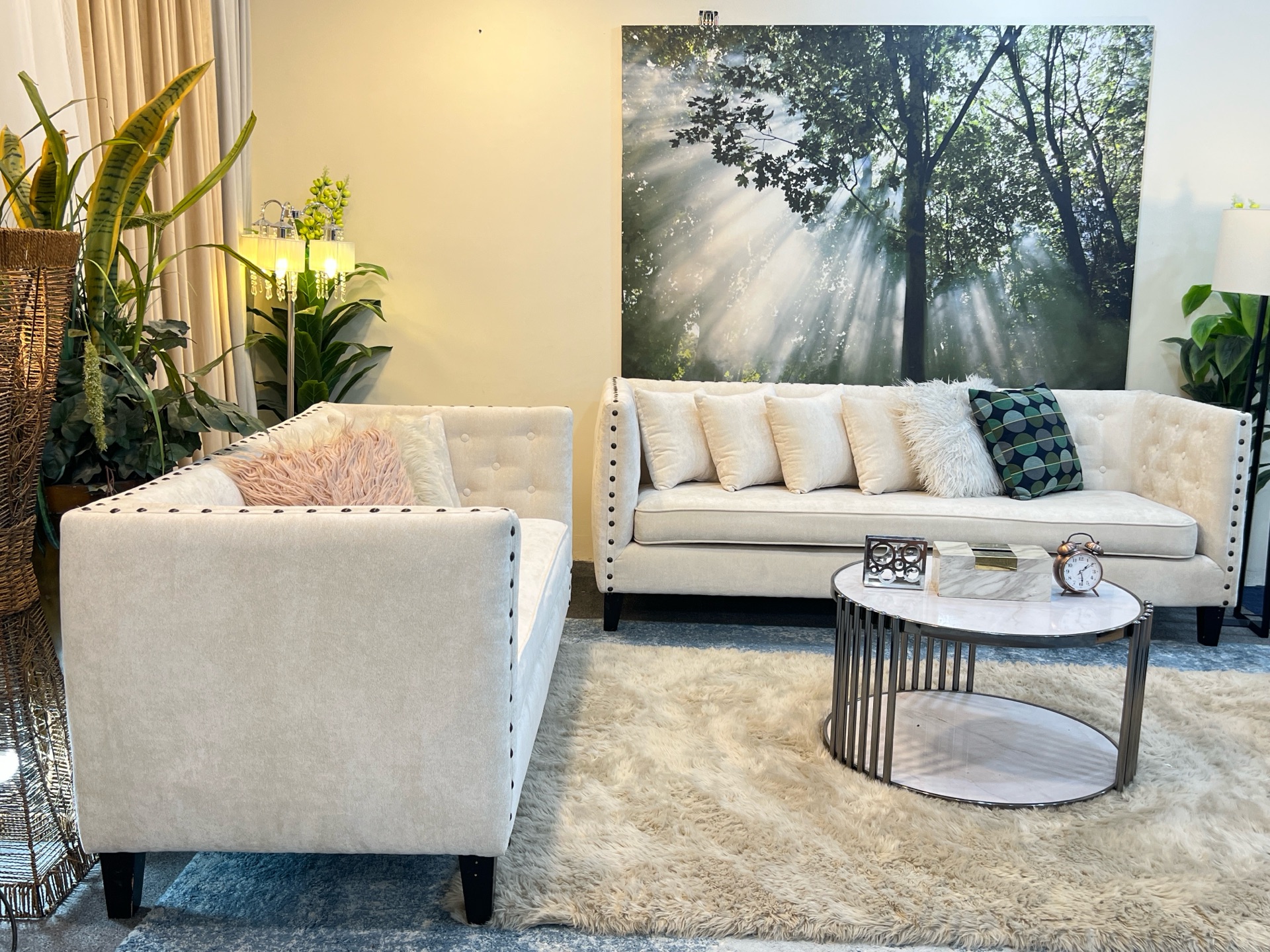 Luxurious midas brand 6 seater 3+2+1 sofa set  - Image 3