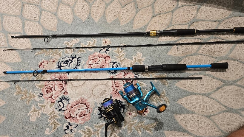 Fishing rods + reels - Image 1