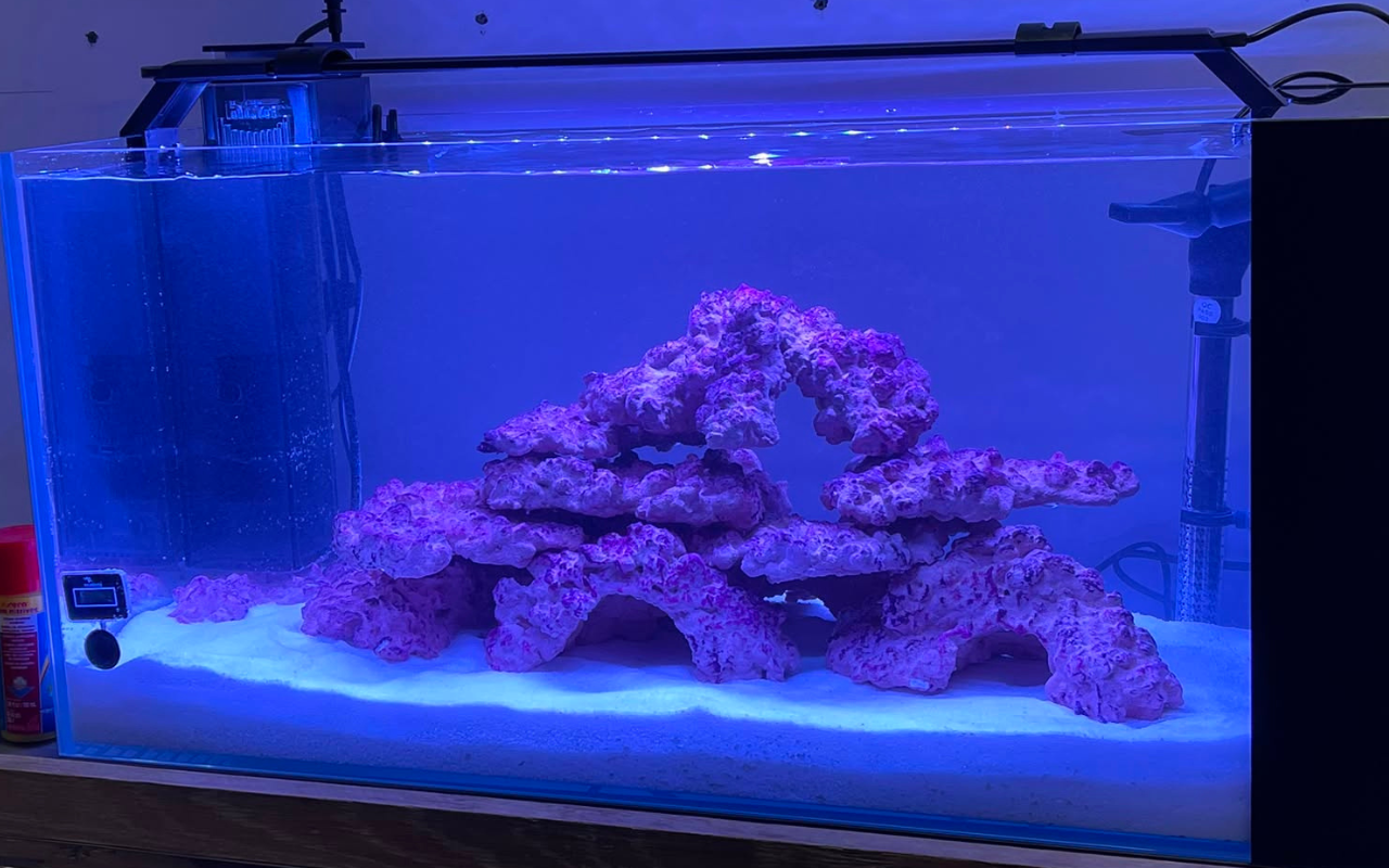 Professional Aquarium Maintenance at Home | From 300 QAR | Qatar - Image 5