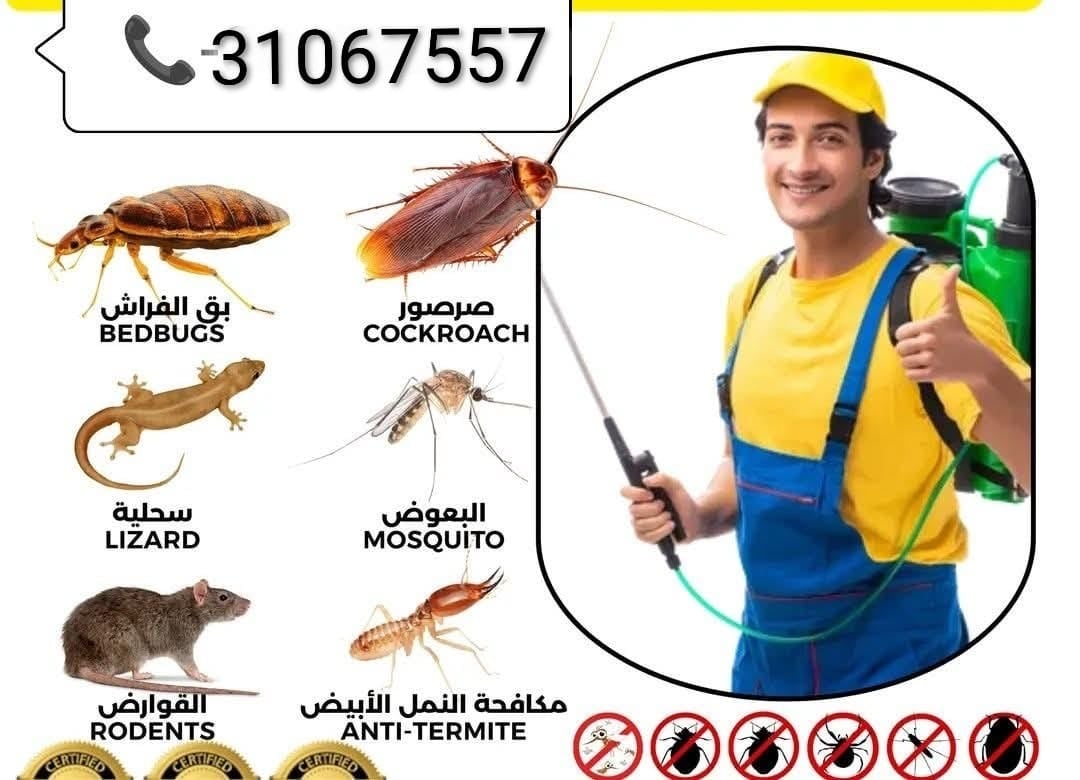 Cleaning and pest control services - Image 4