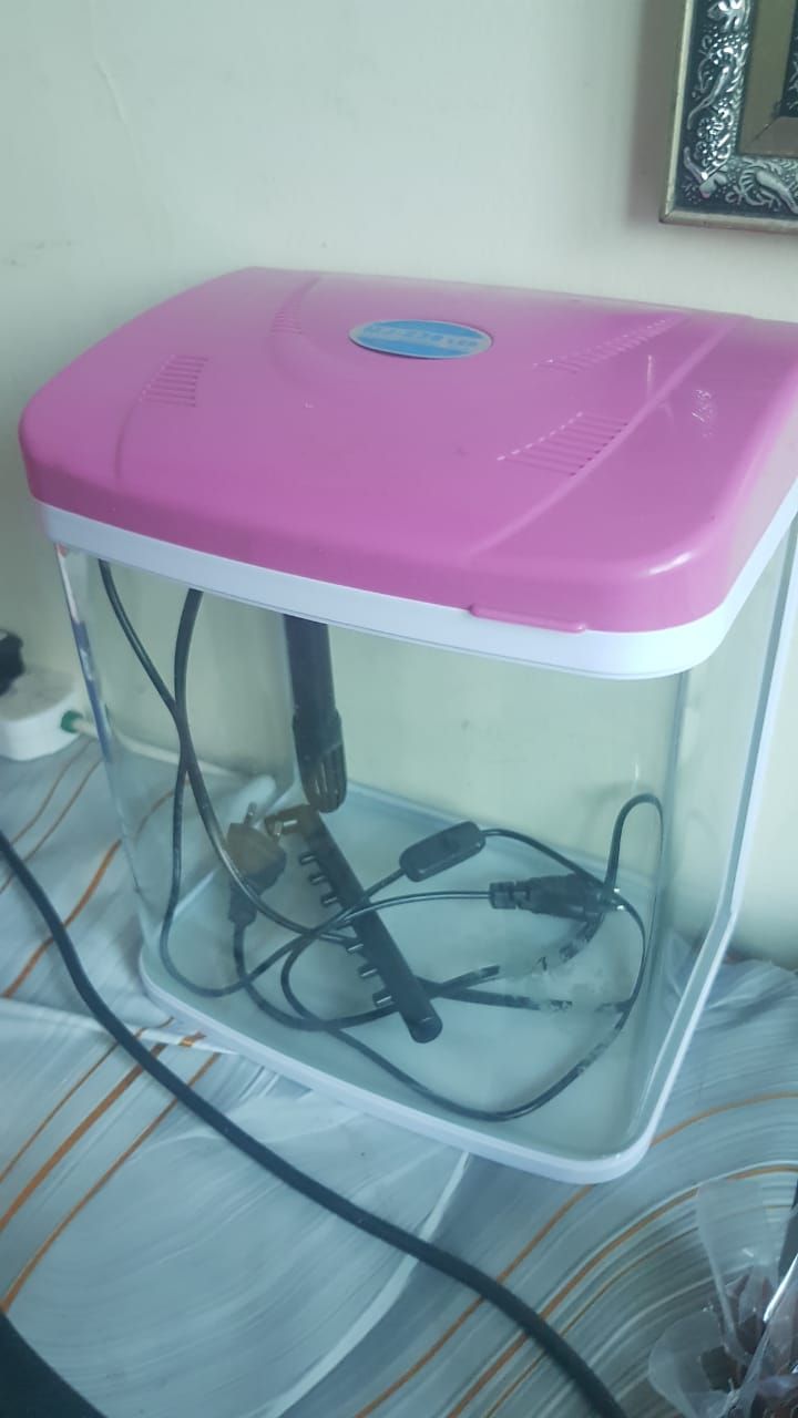 Small beautiful fish tank - Image 4