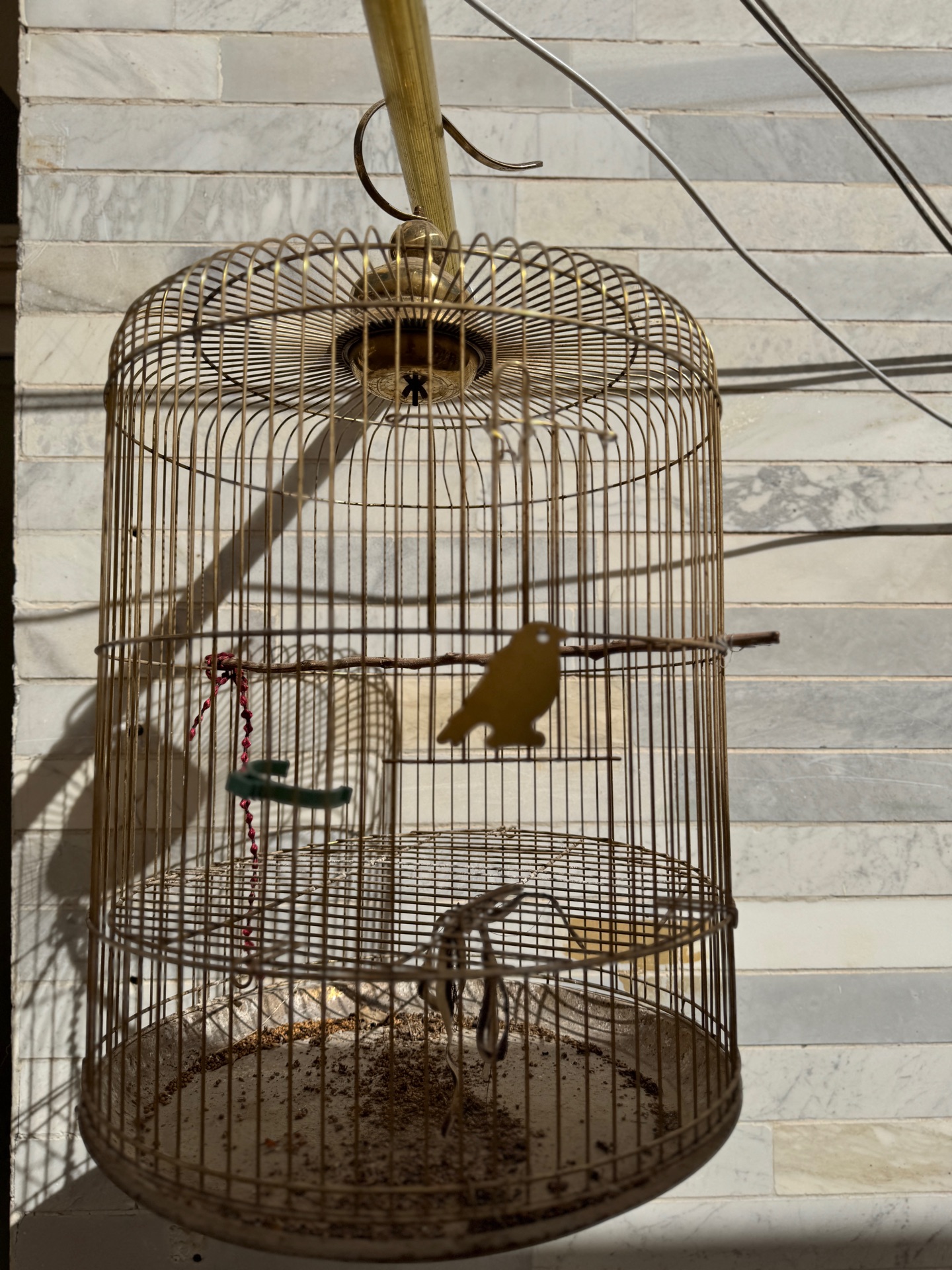 Birds cage  - Image 2