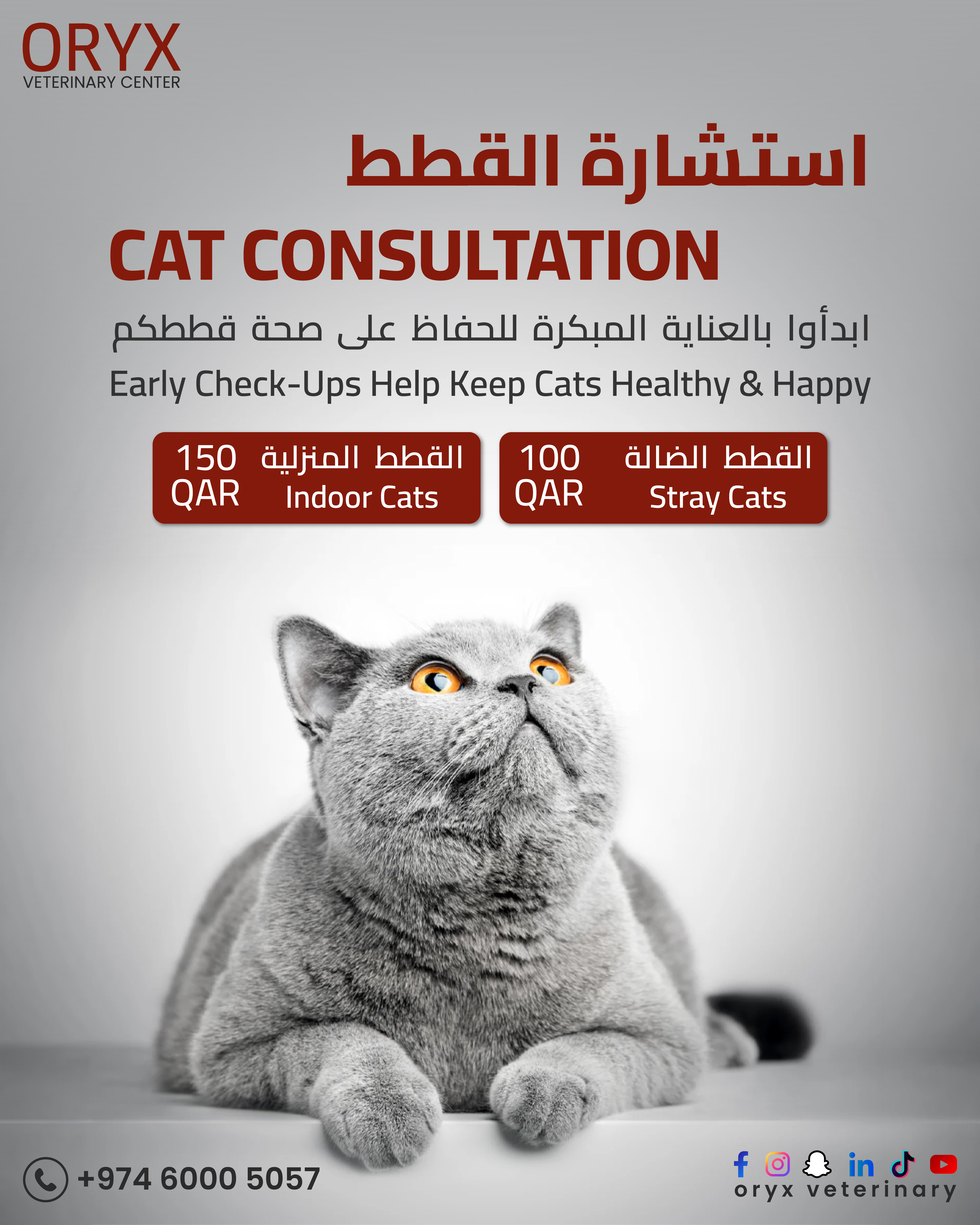 Everything Your Pet Needs, All in One Place | Oryx Veterinary Center