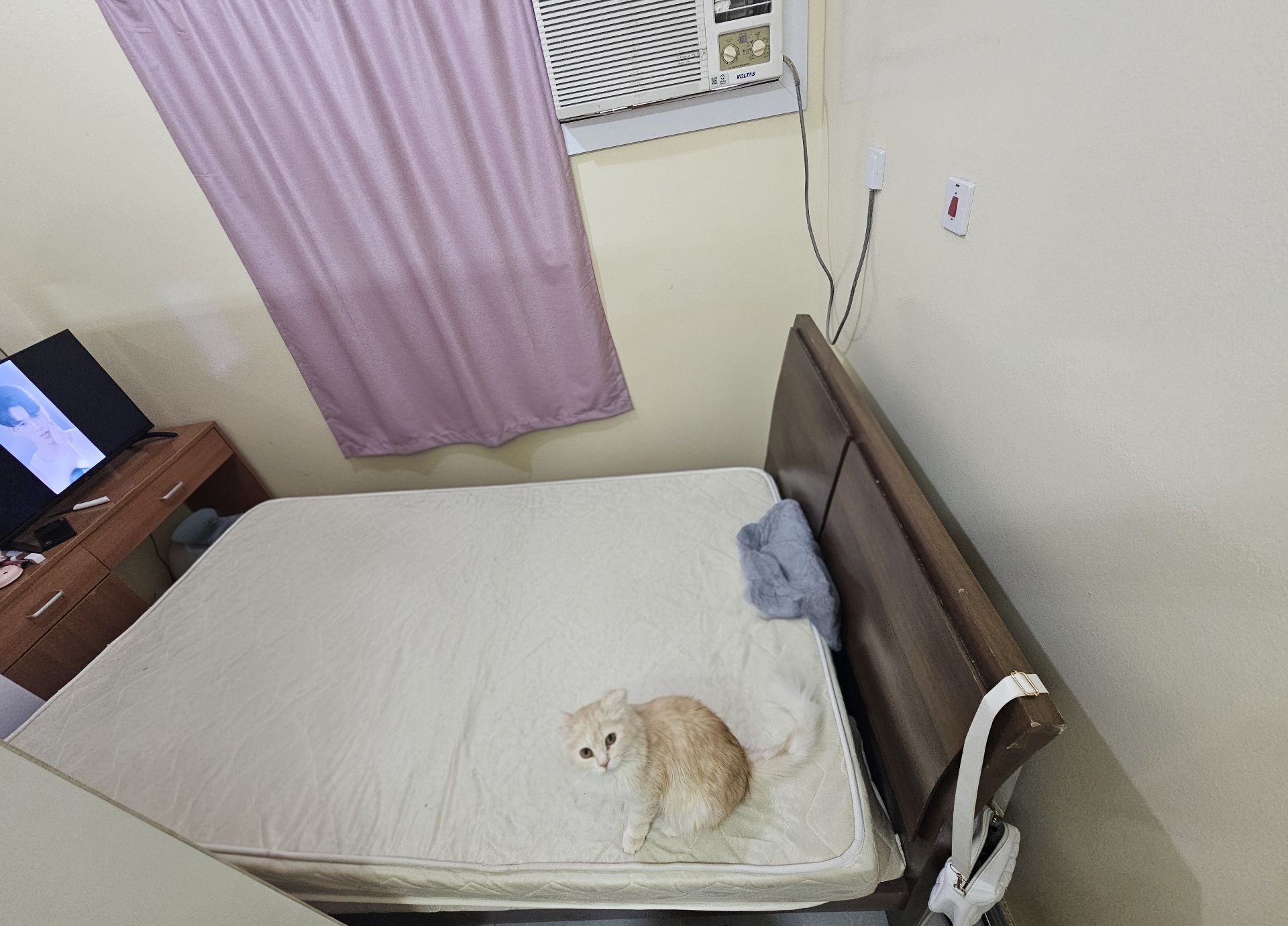 Bed with Mattress - Image 1