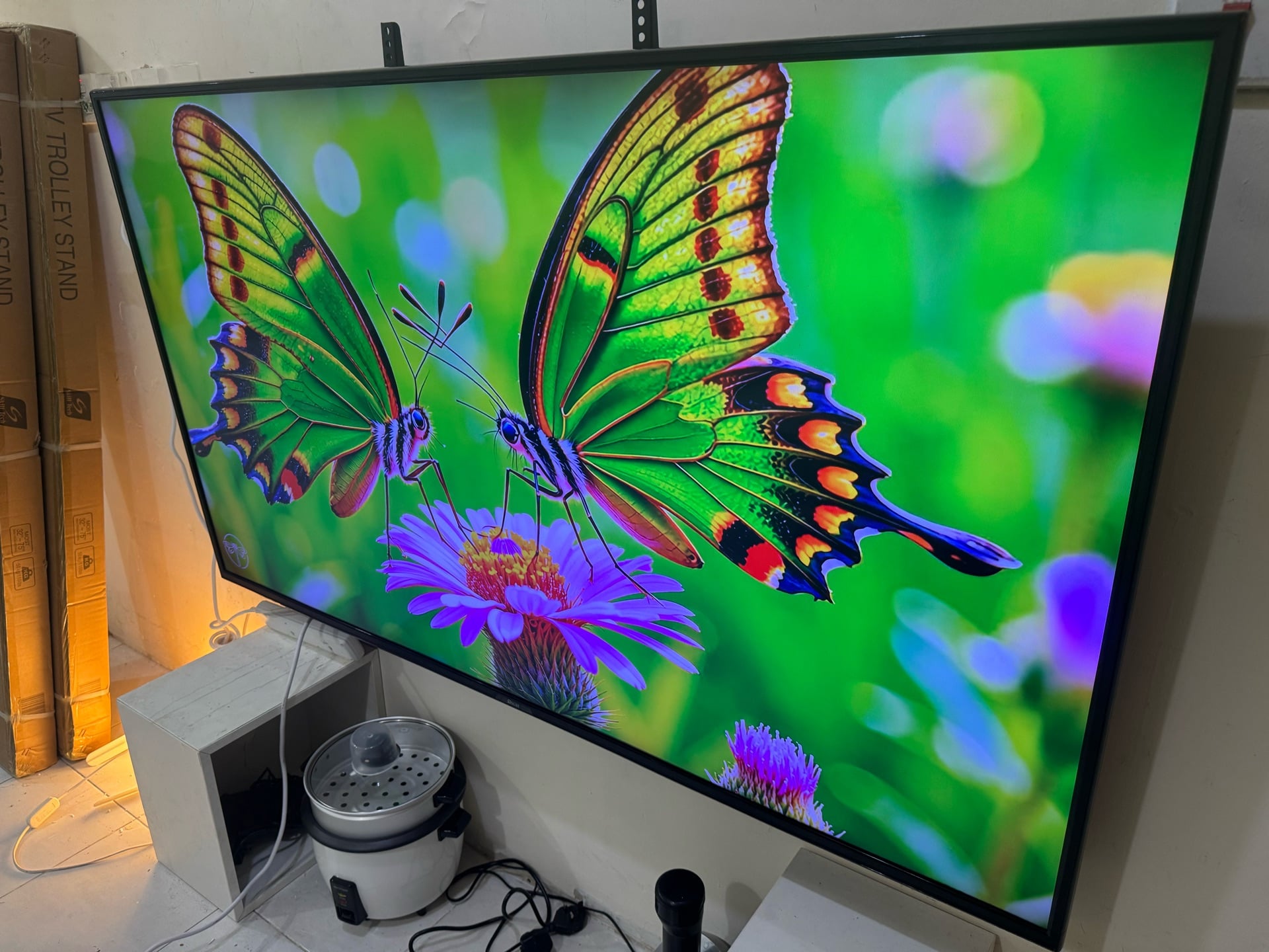 Samsung tv 55 not smart 350 - Image 1