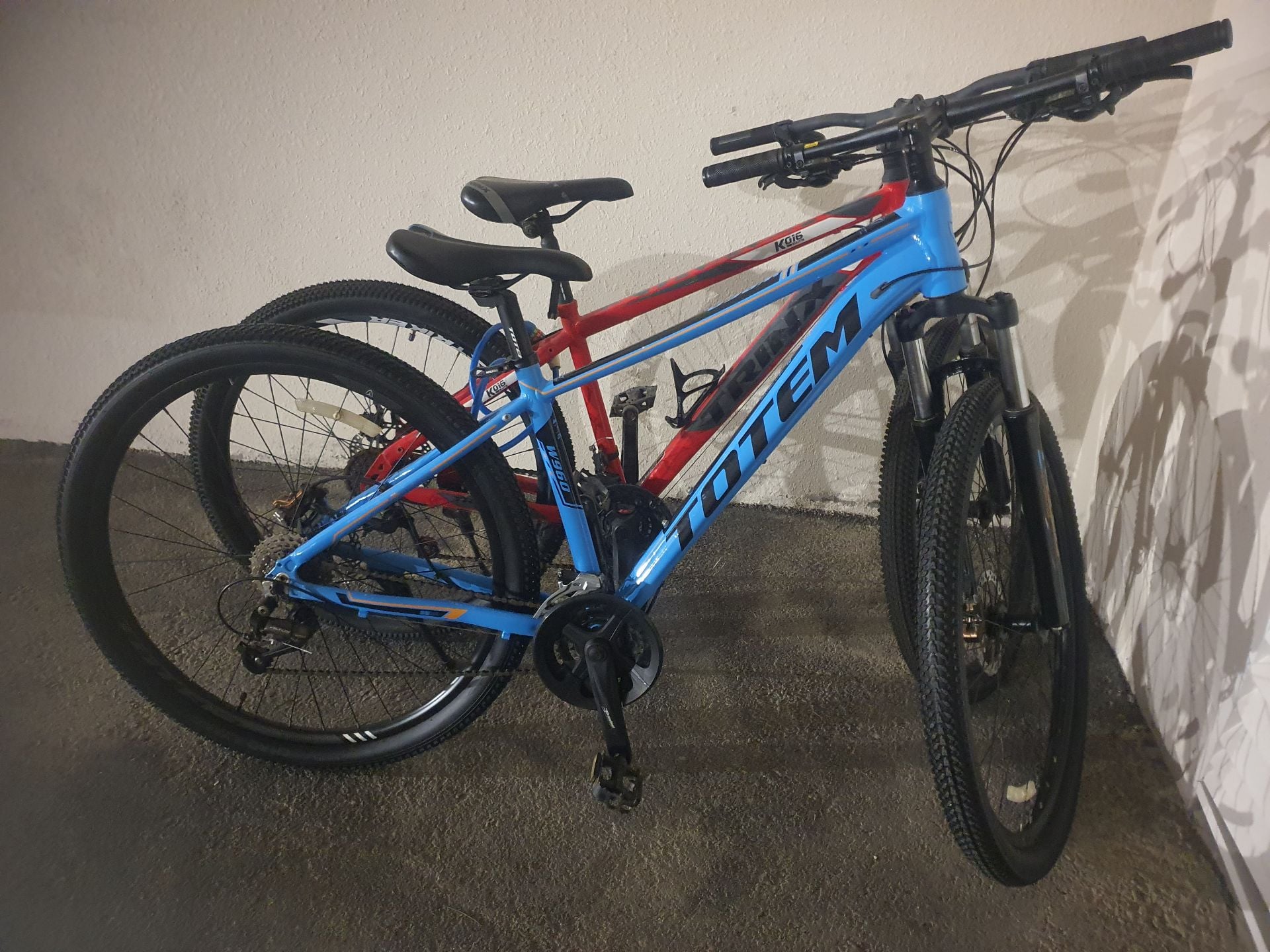 Totem W960 29er Bike - Image 3