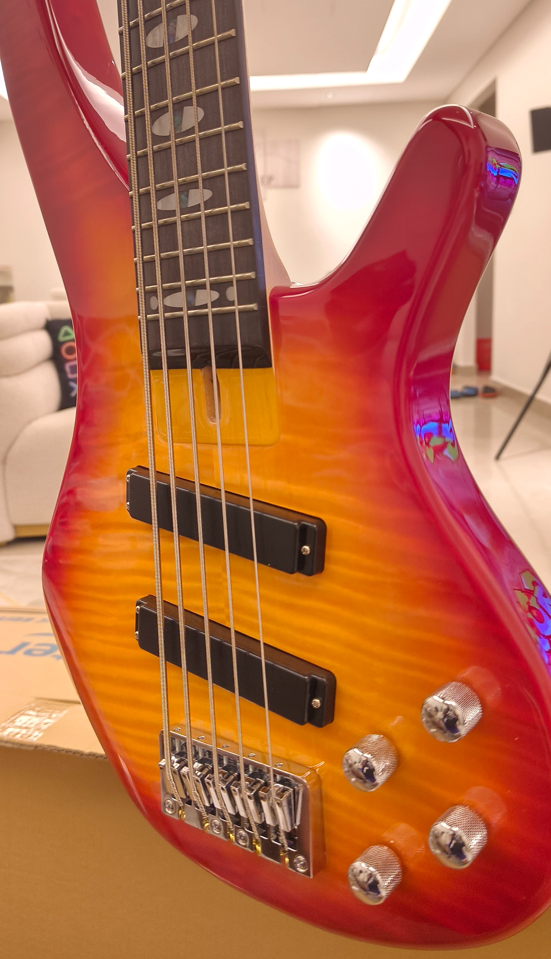 5 String Custom Bass - Image 1