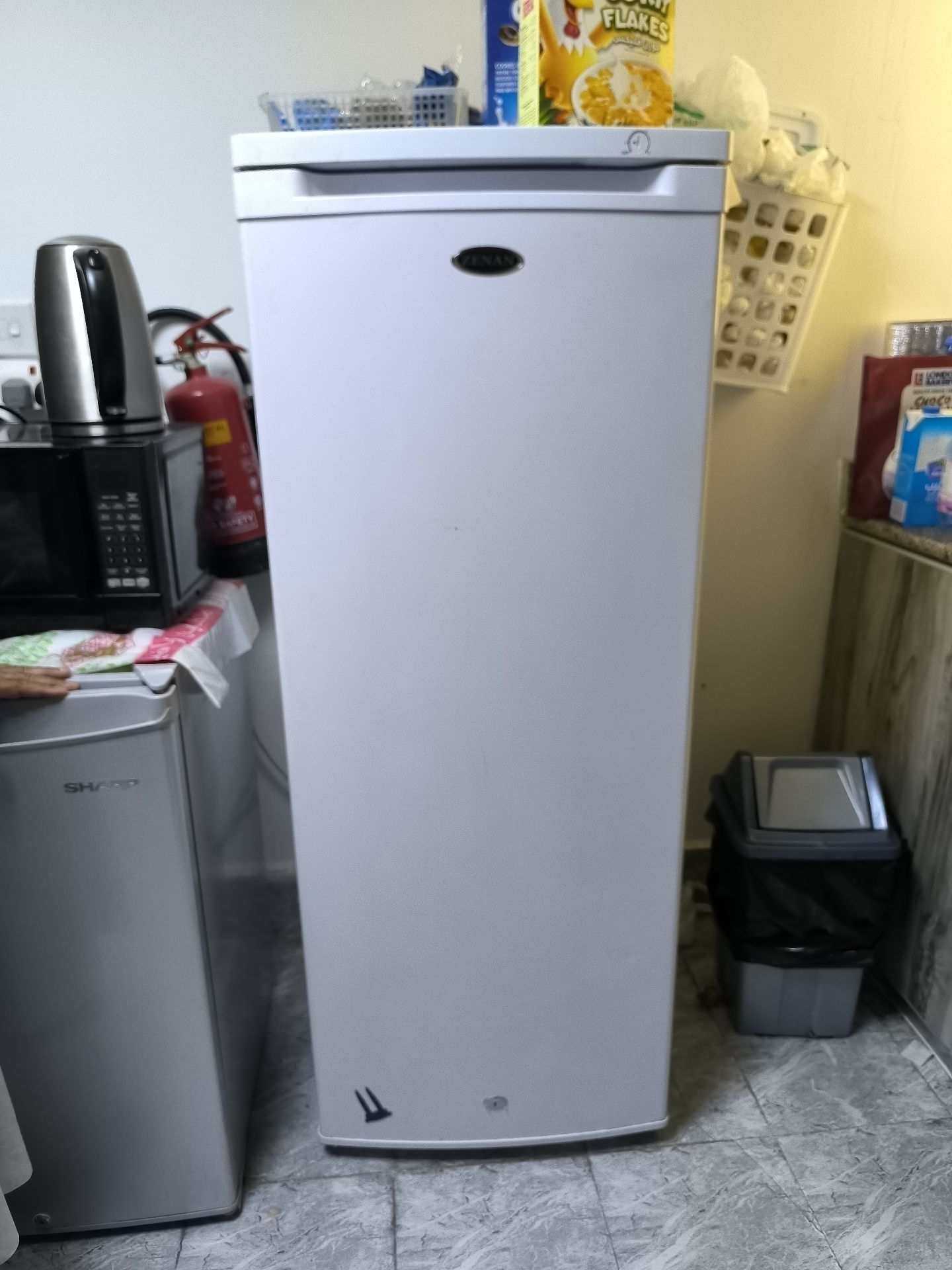 Zenan upright freezer - Image 1