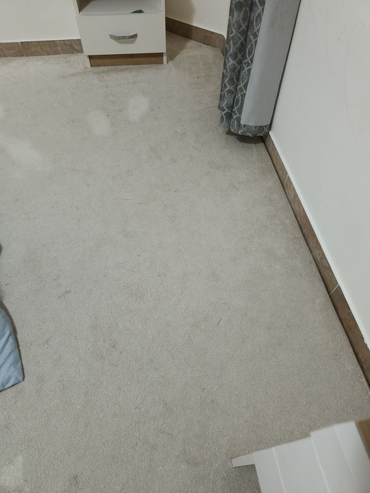 Carpet for sale - Image 3