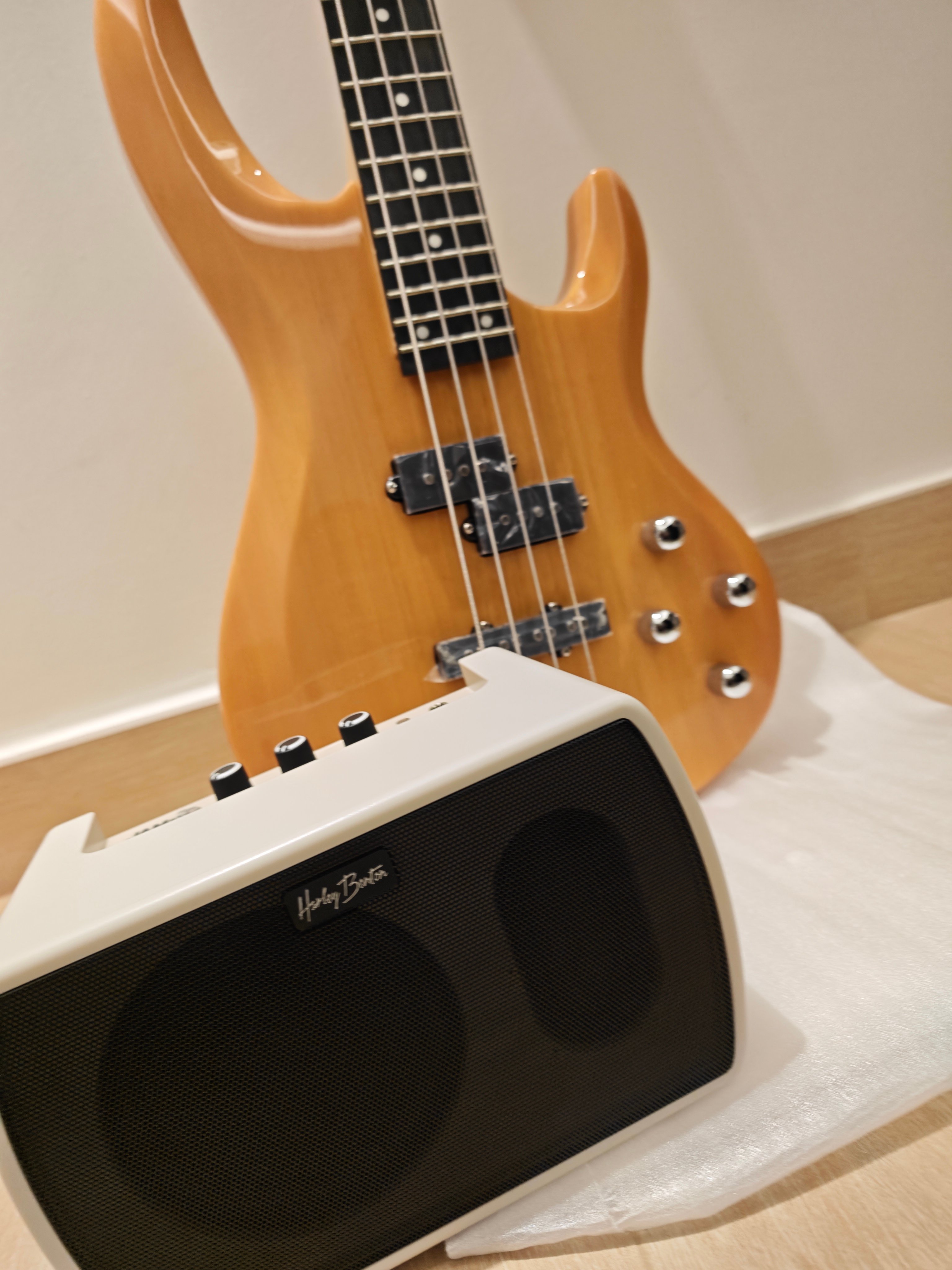 Bass Guitar + Bass Amp - Image 1