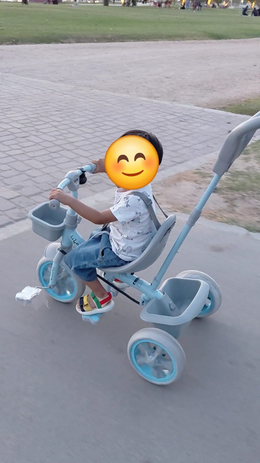 Tricycle - Image 4