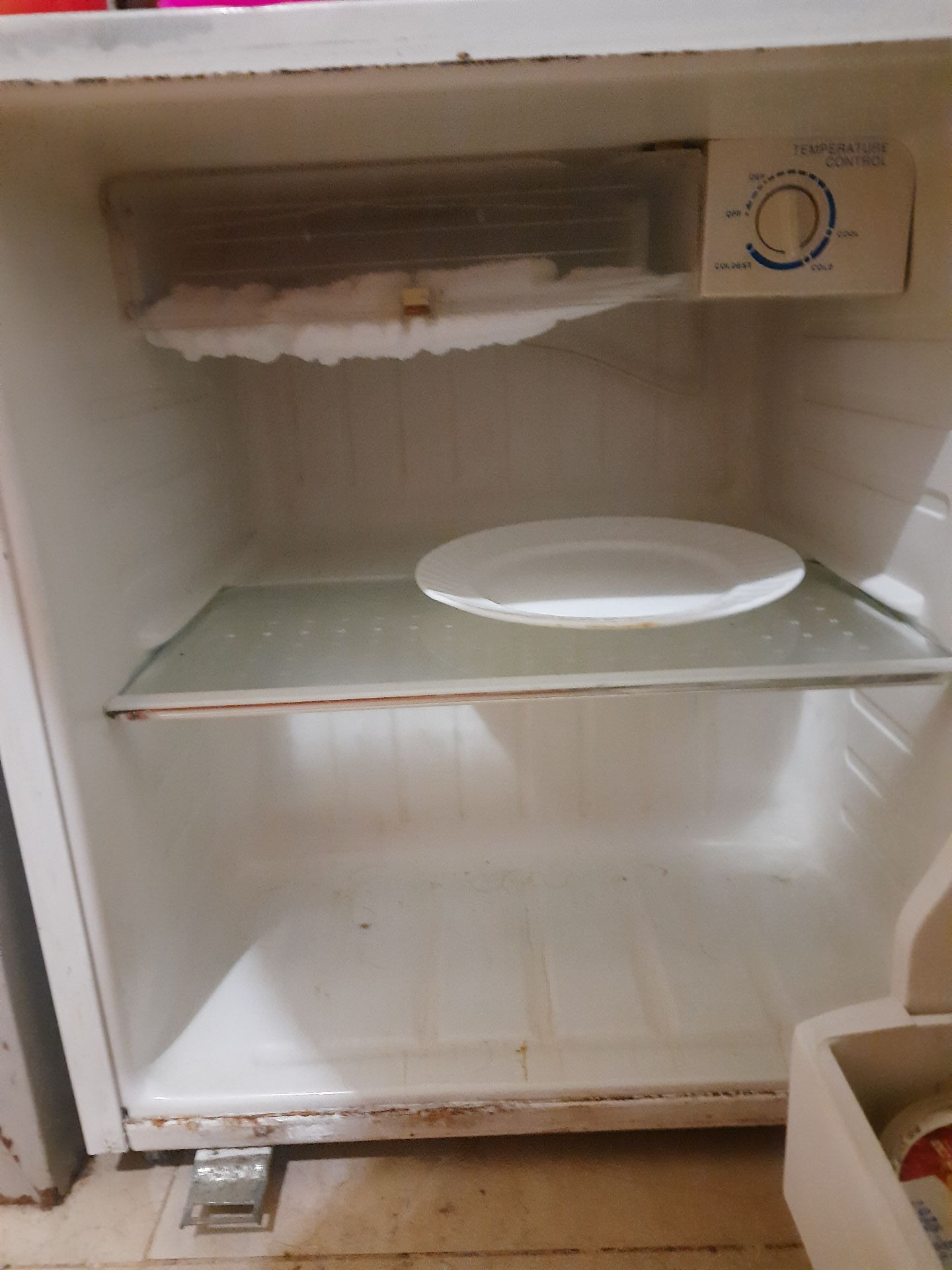 Mini Refrigerator (Fridge) - Image 3