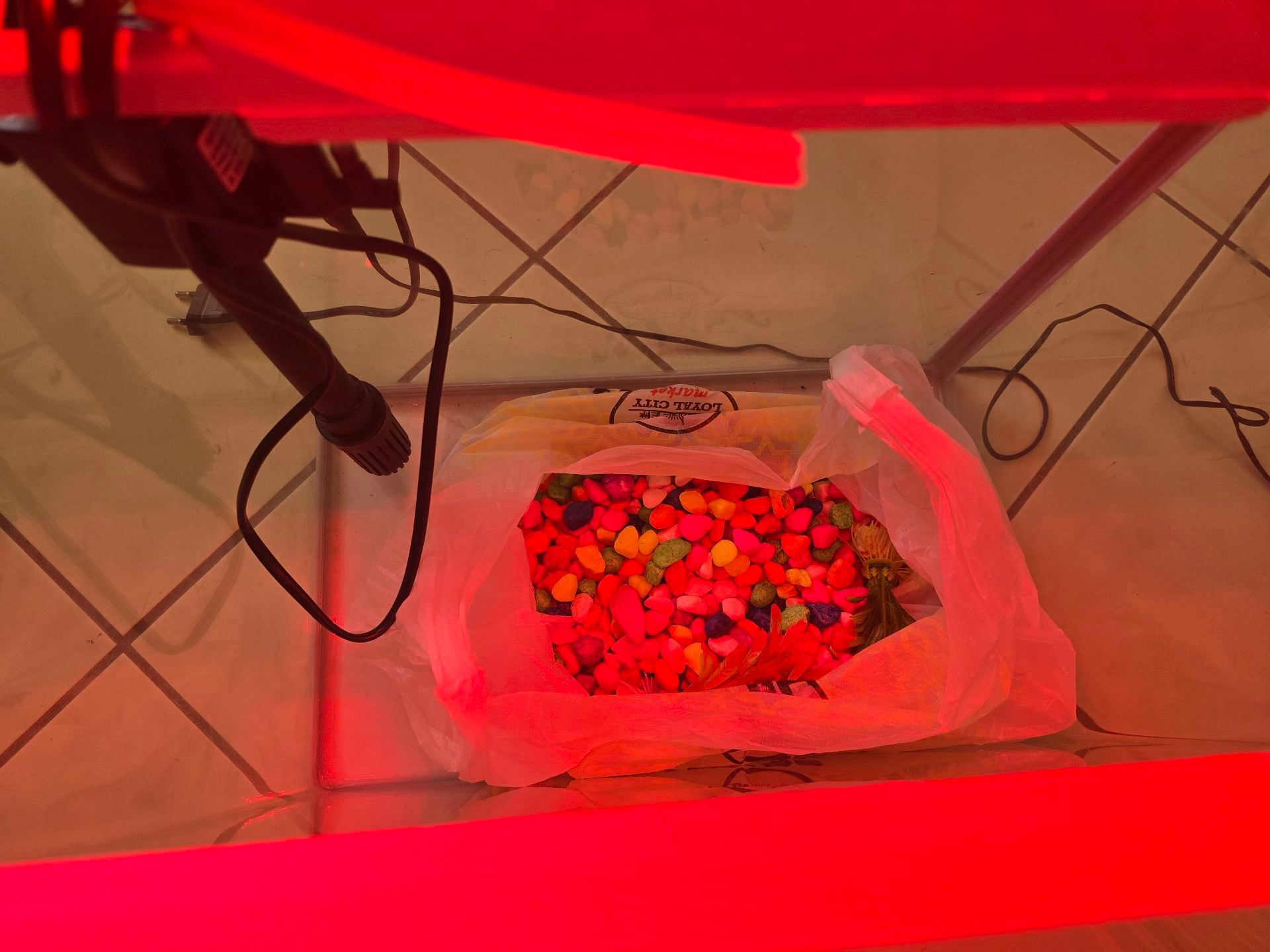 Aquarium/fish tank with LED lights/pump - Image 3