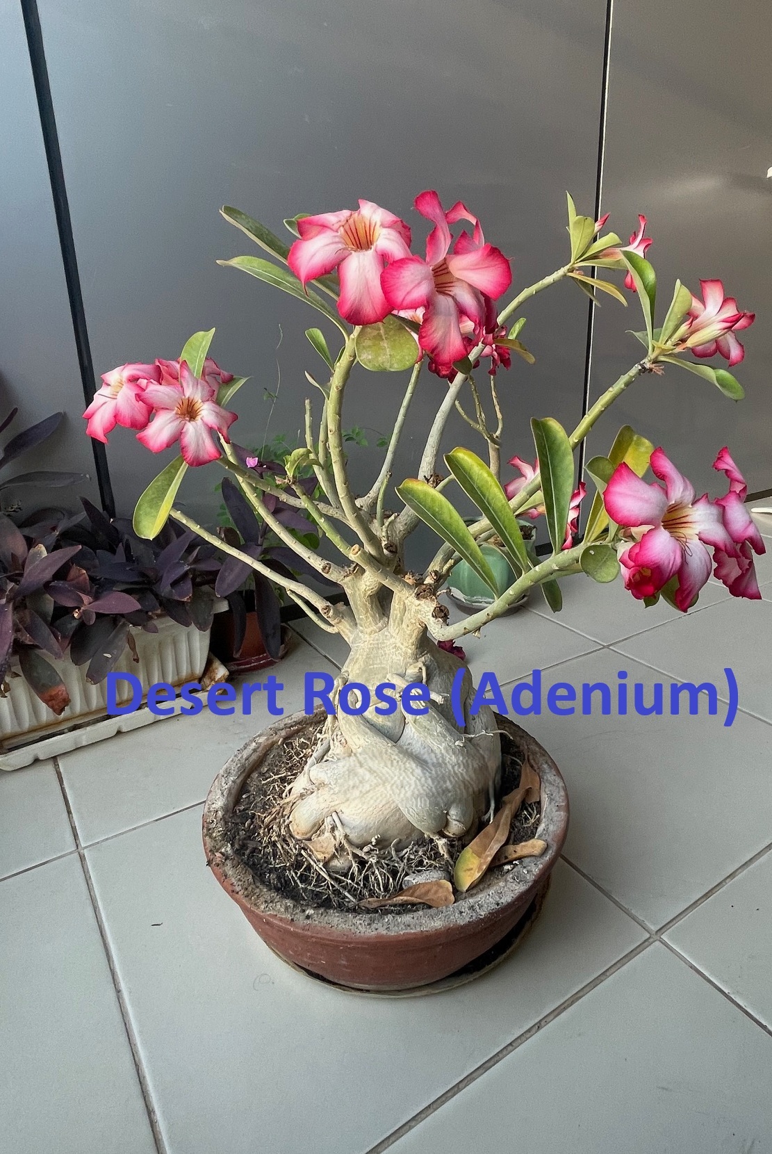 Slide 3