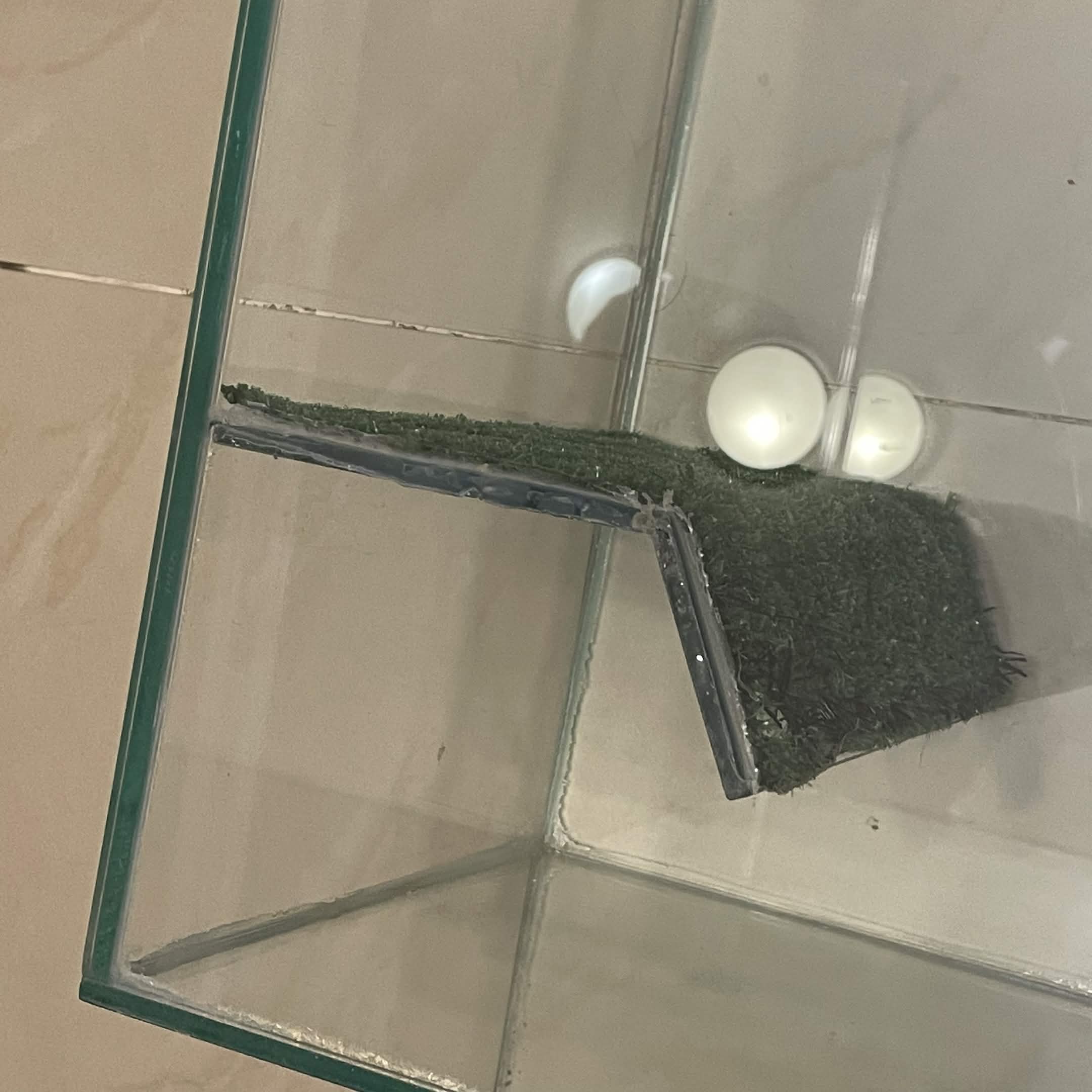 Reptile/Amphibian/Rodent Glass Tank - Image 8