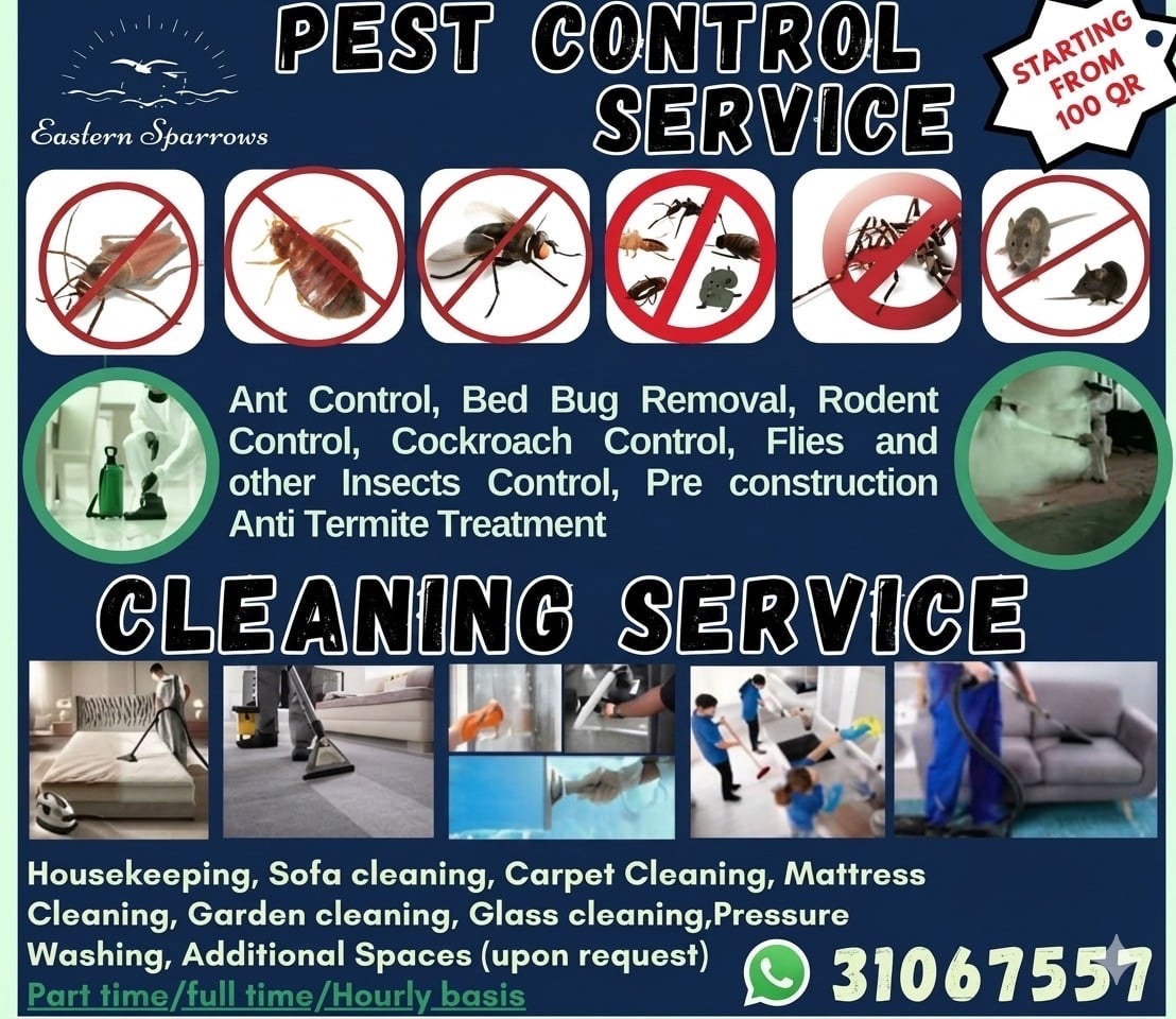 Cleaning and Pest control Services - Image 6