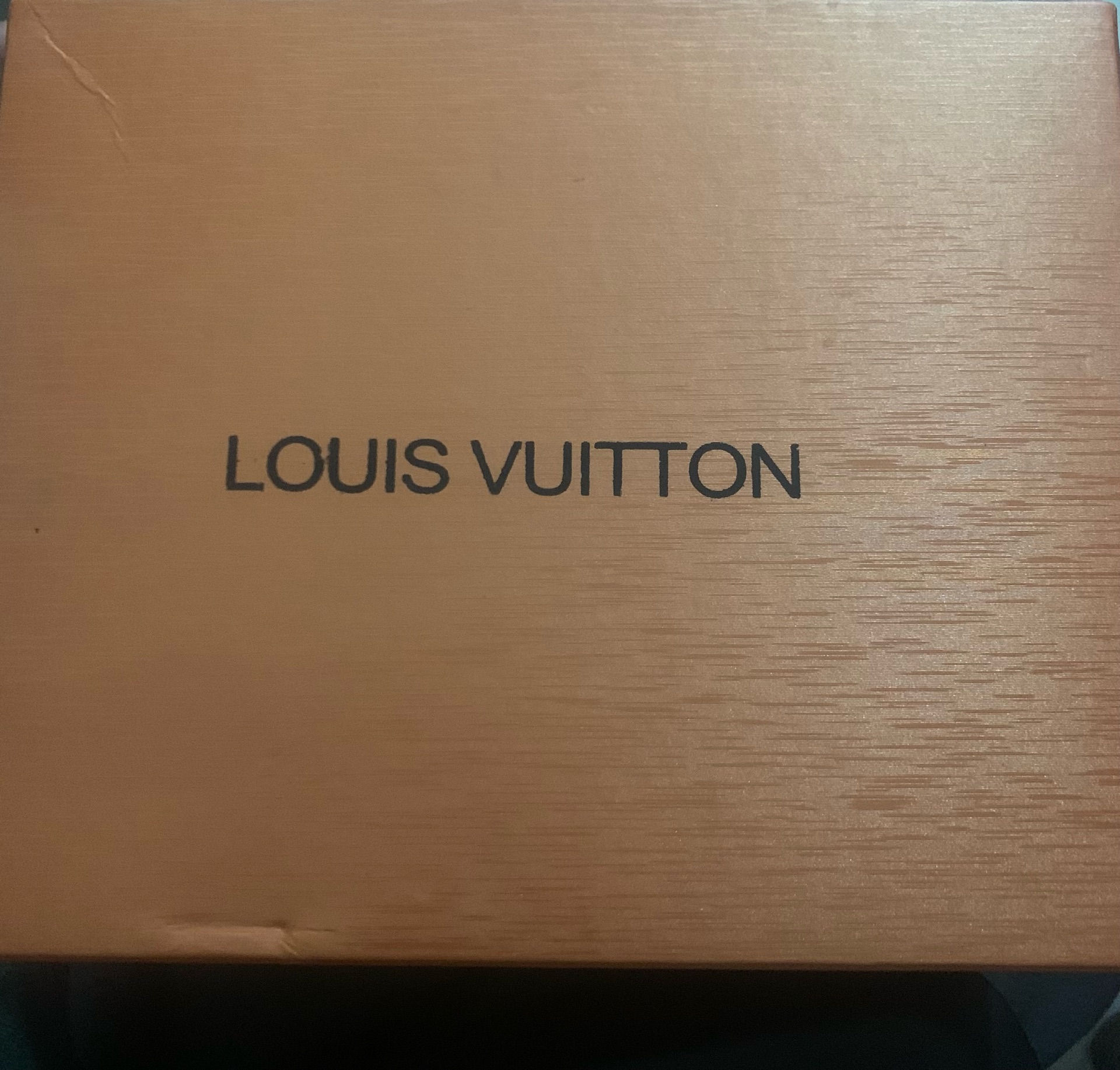 Louis Vuitton / Remarque / Brown - Image 2