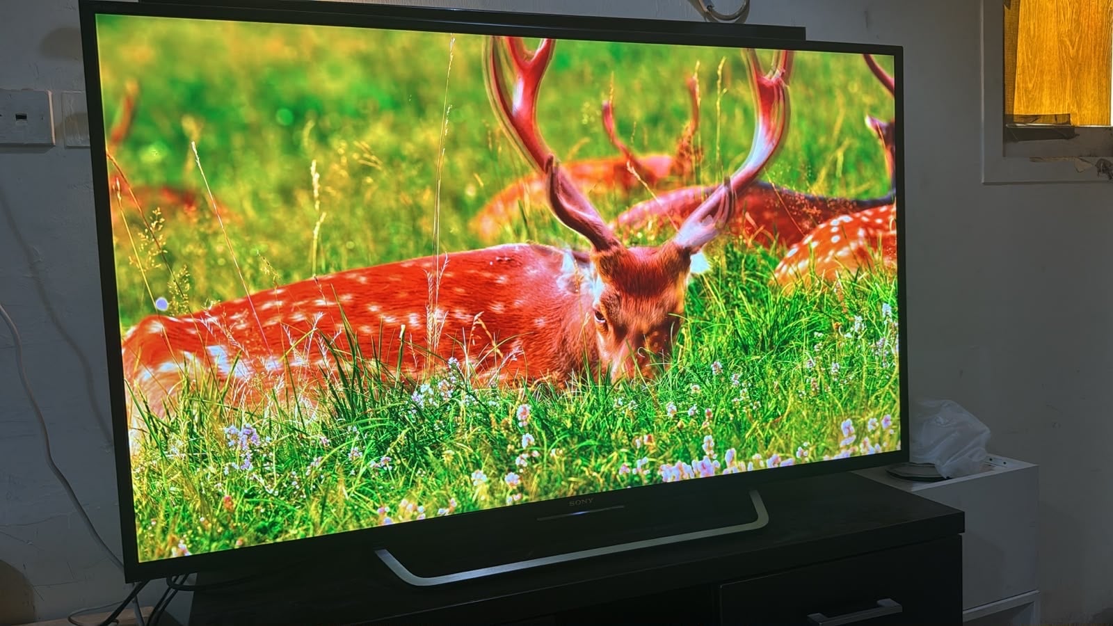 تلفزيون Sony Bravia 55 مع طاولة مركز المنزل بحالة ممتازة - Image 7