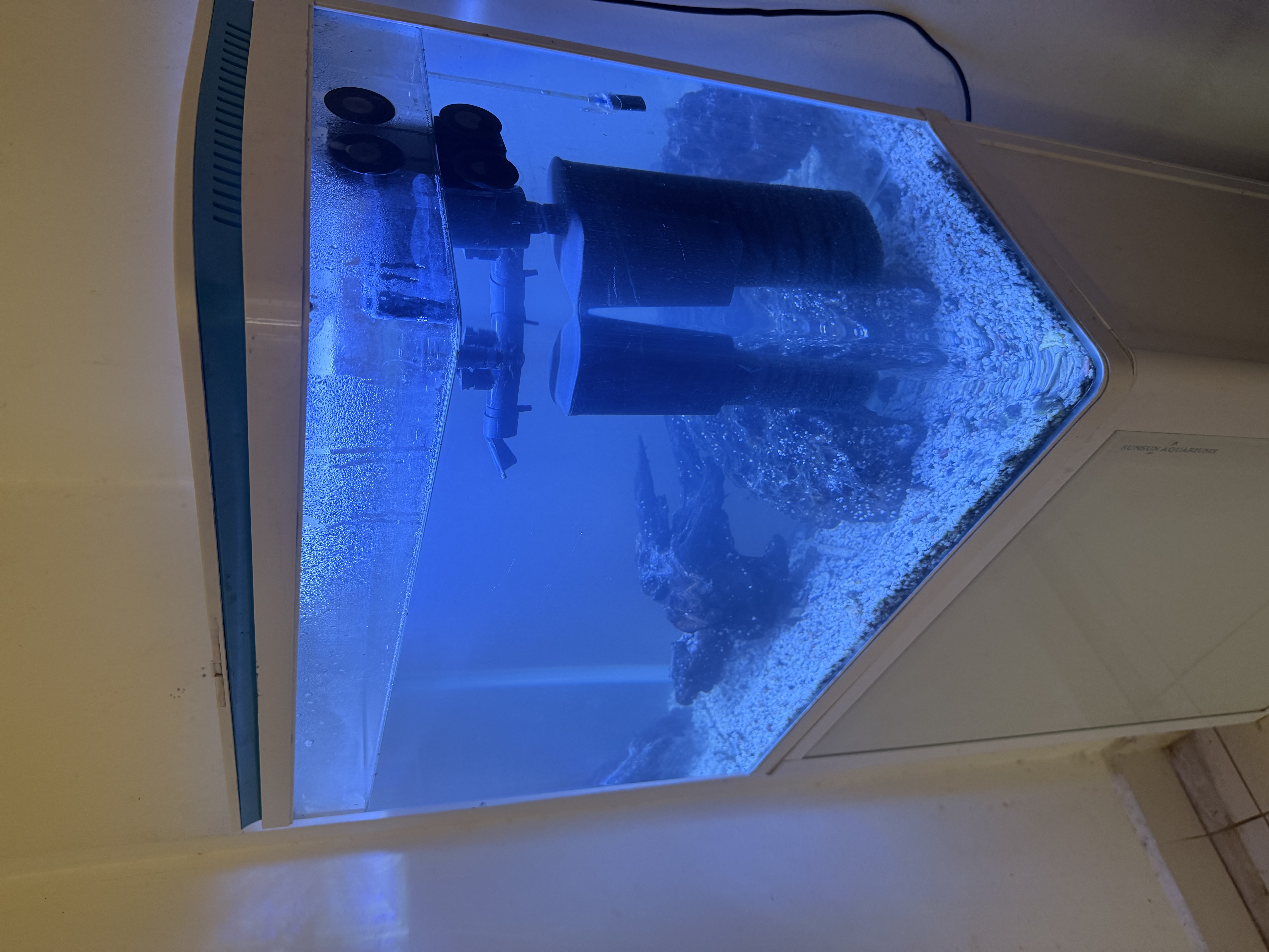 Aquarium with filter - Image 4