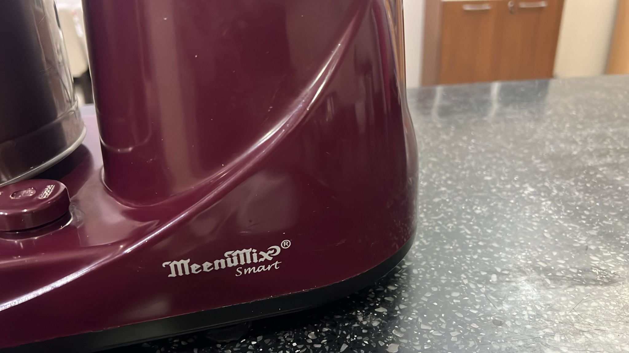 Wet Grinder - Image 3