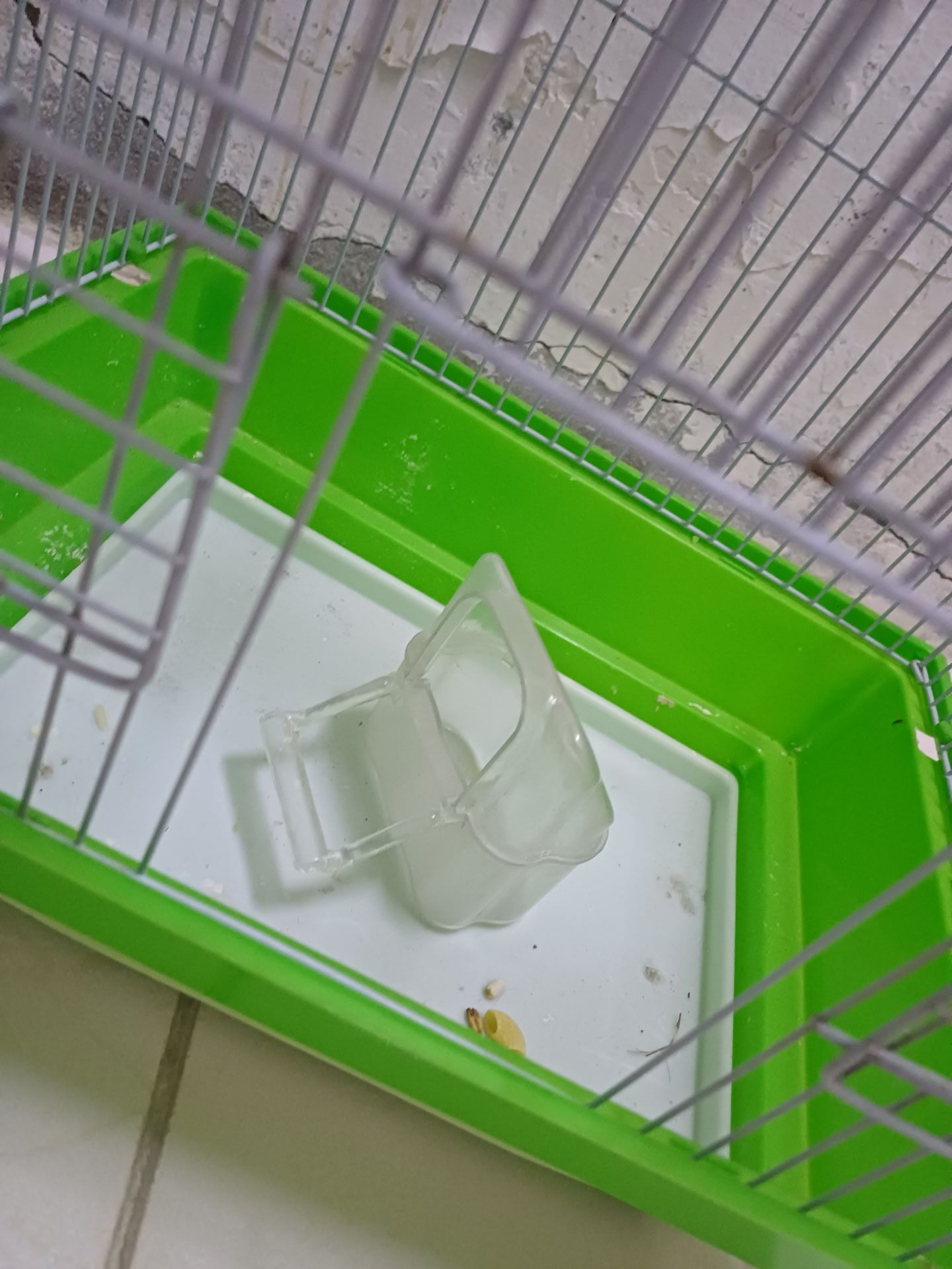 Birds cage ... tow cage avilable.. - Image 8